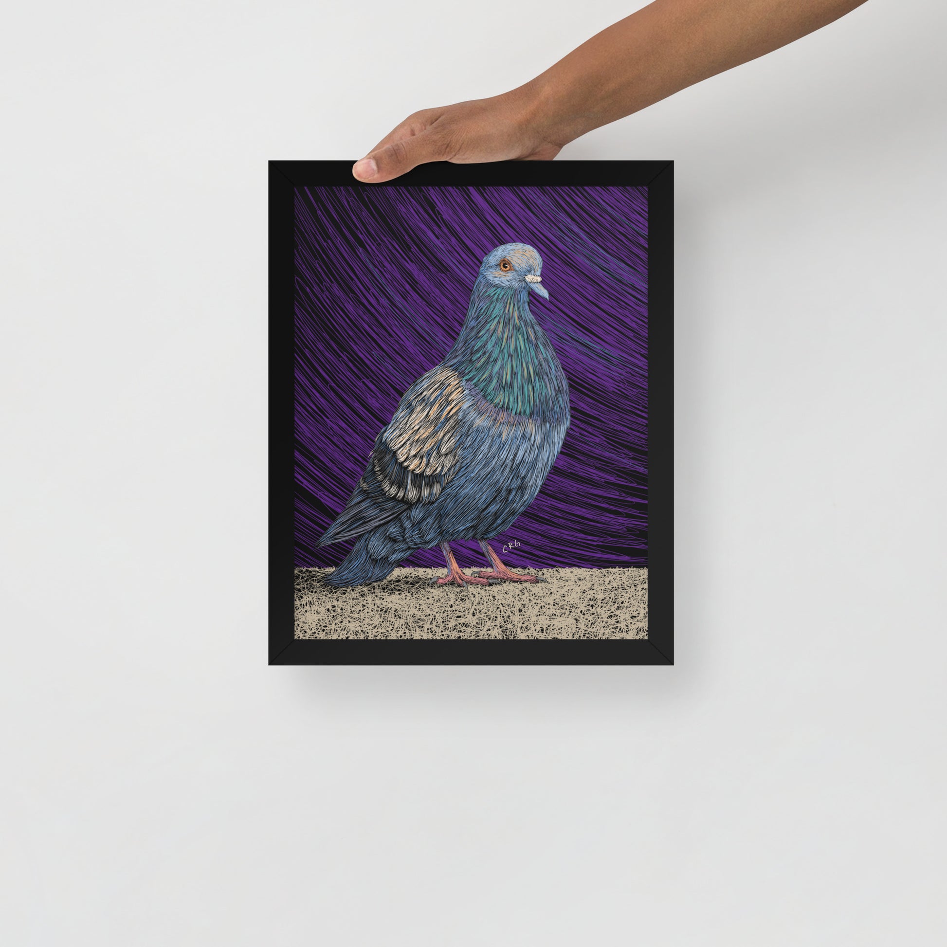 Pigeon Art Print