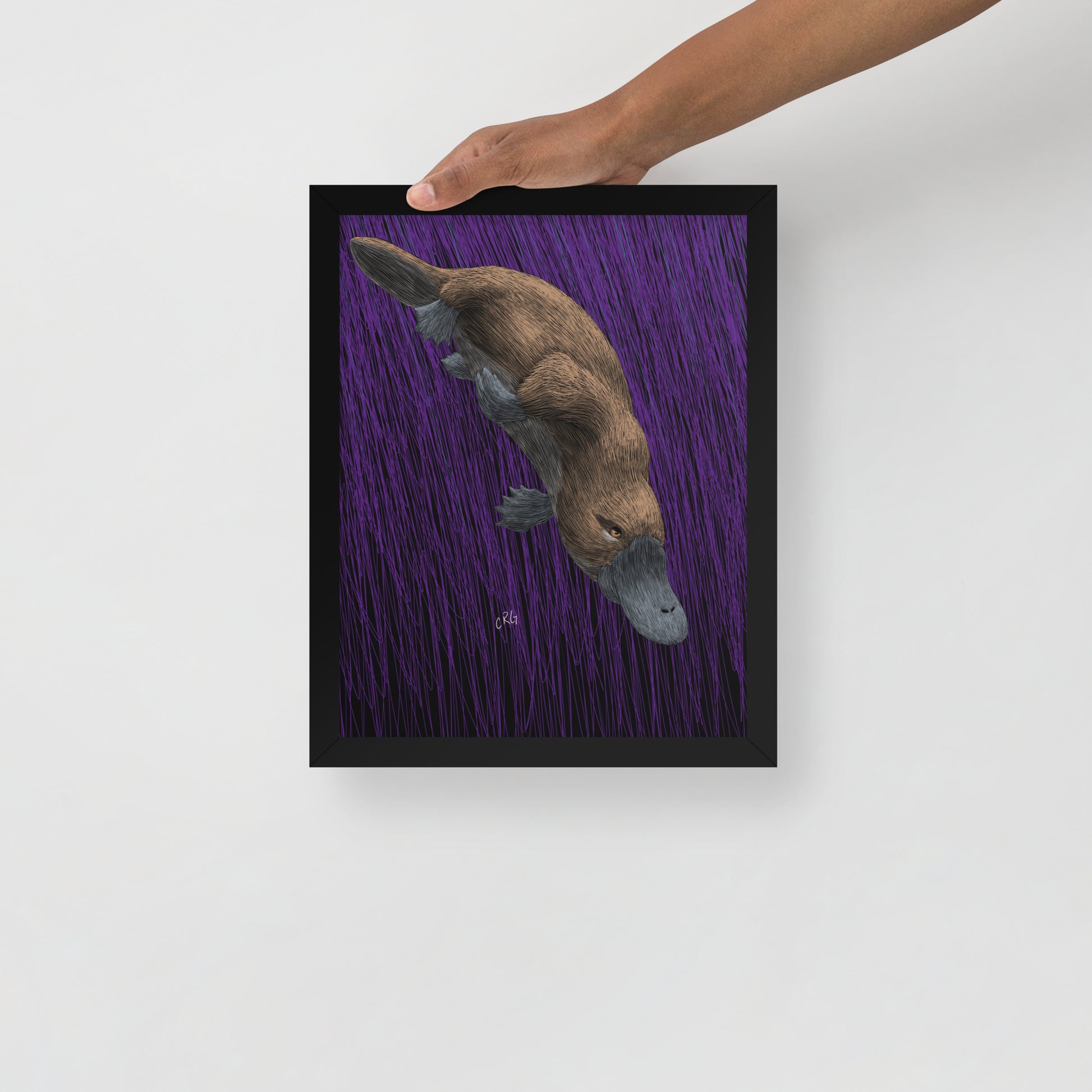 Platypus Art Print