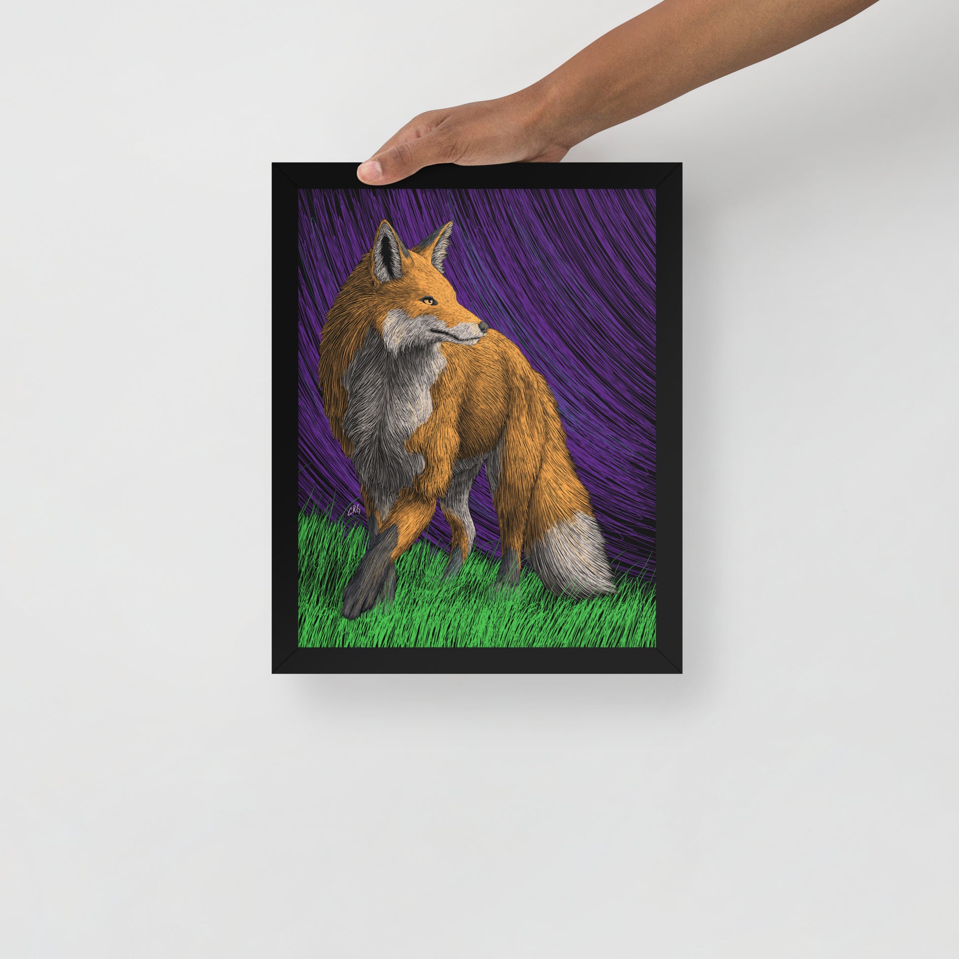 Red Fox Art Print
