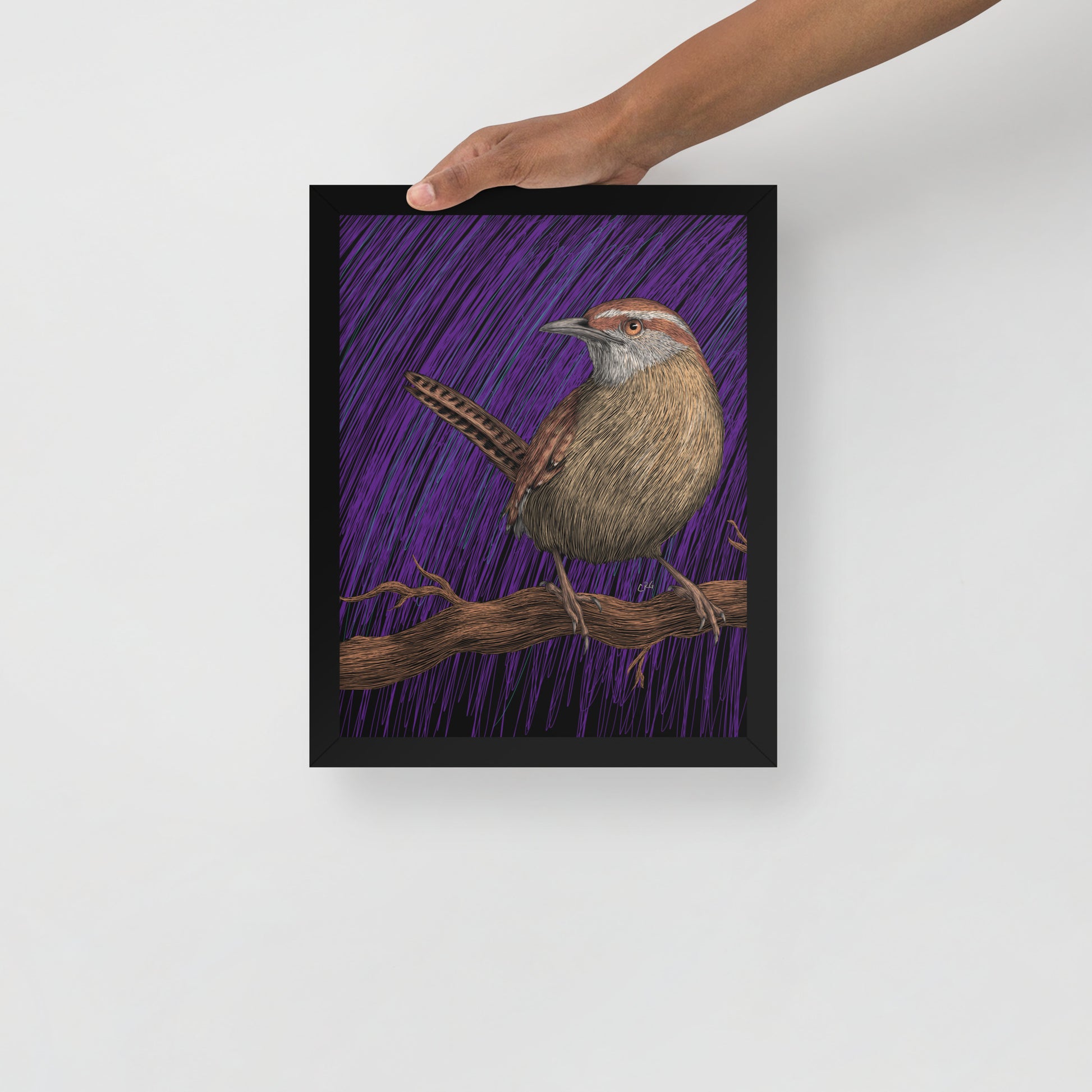 Wren Art Print