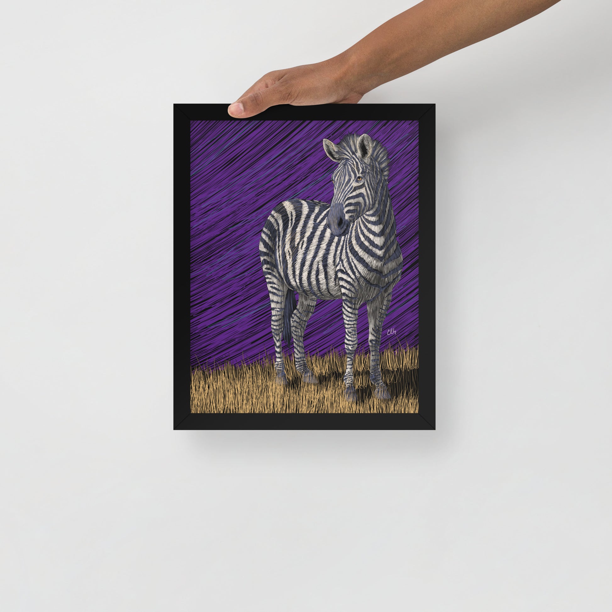 Zebra Art Print