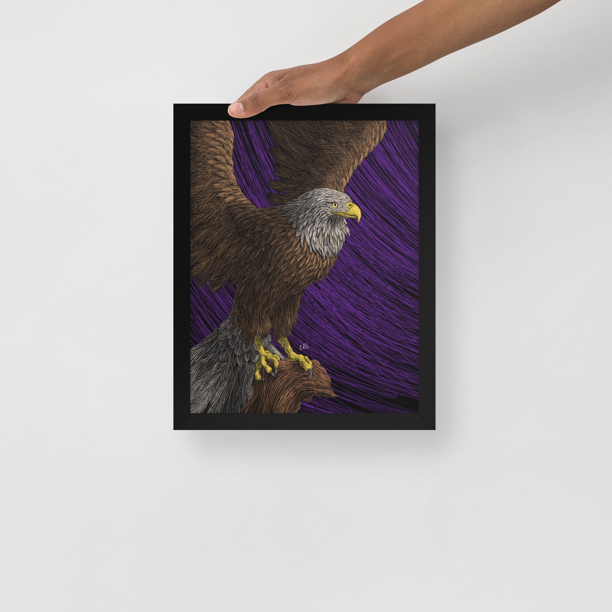 Bald Eagle Art Print