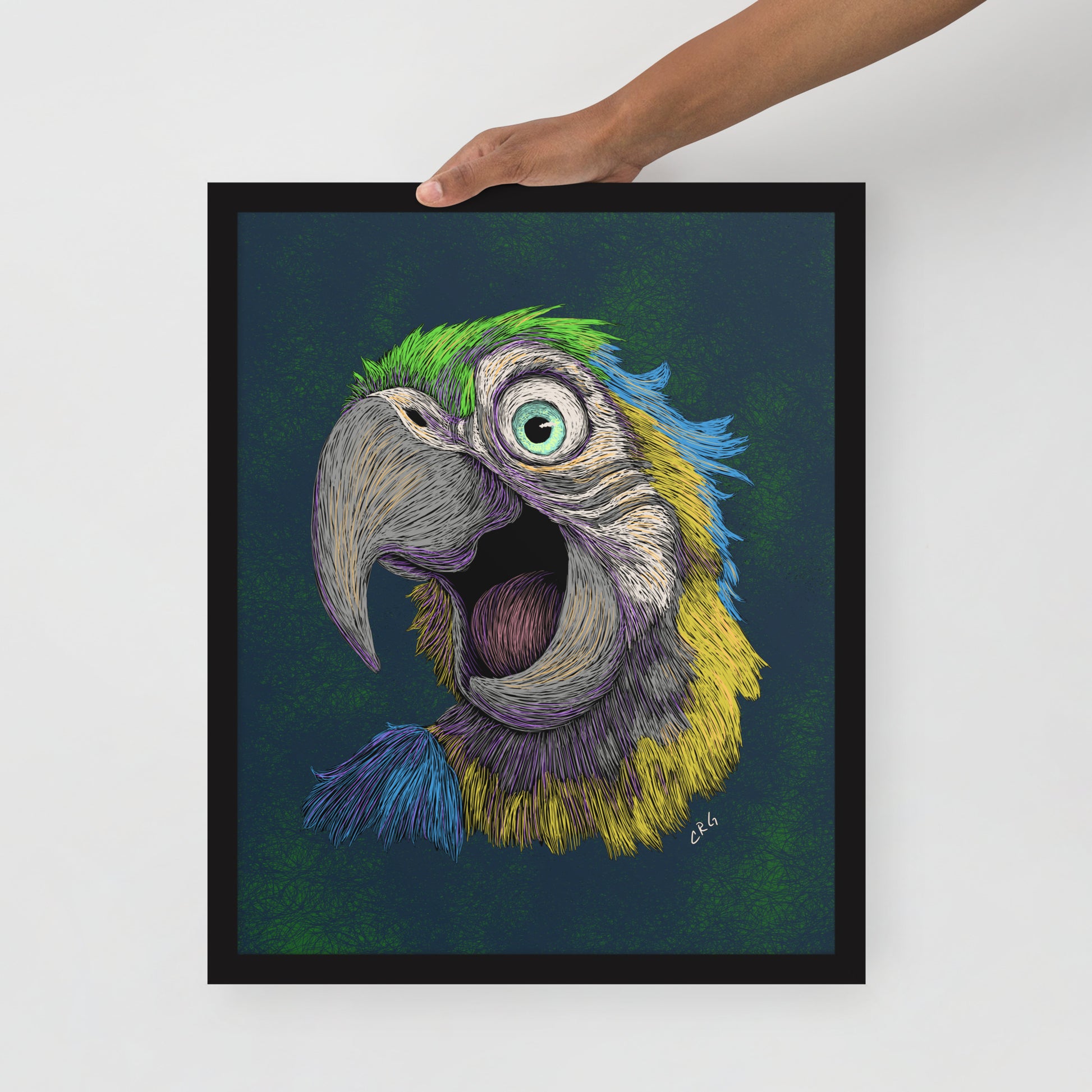 Blue and Gold Macaw Art Print