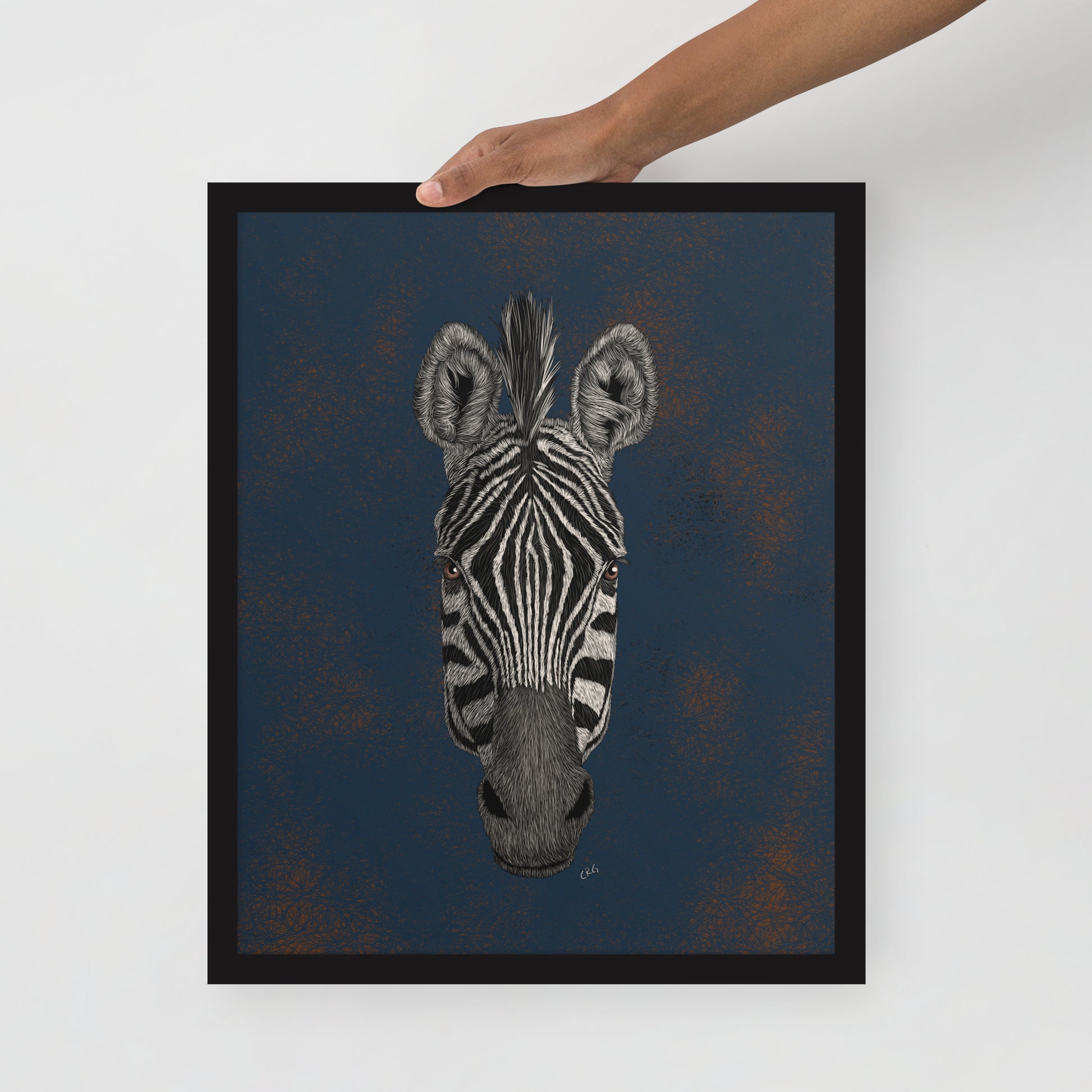 Zebra Art Print