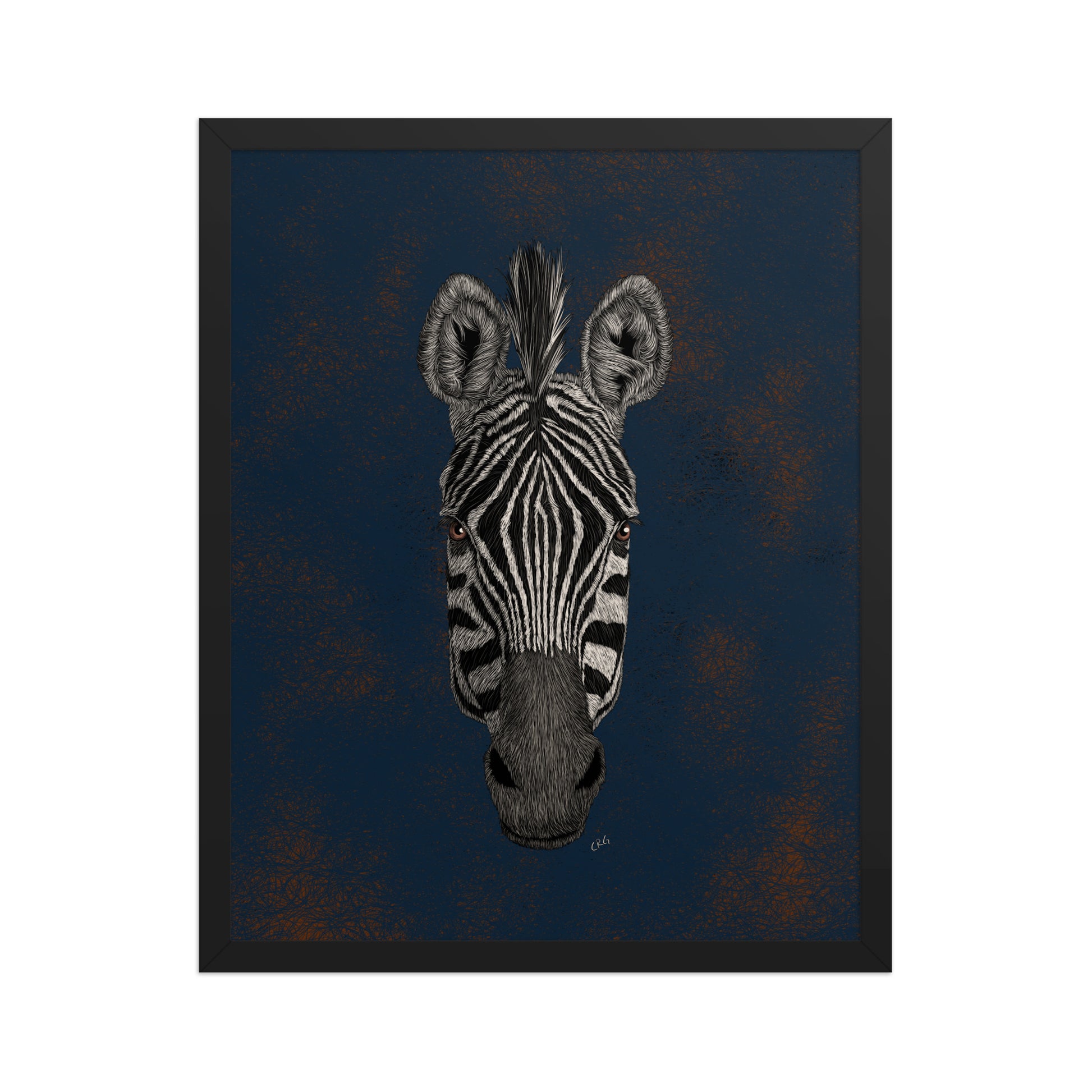 Zebra Art Print