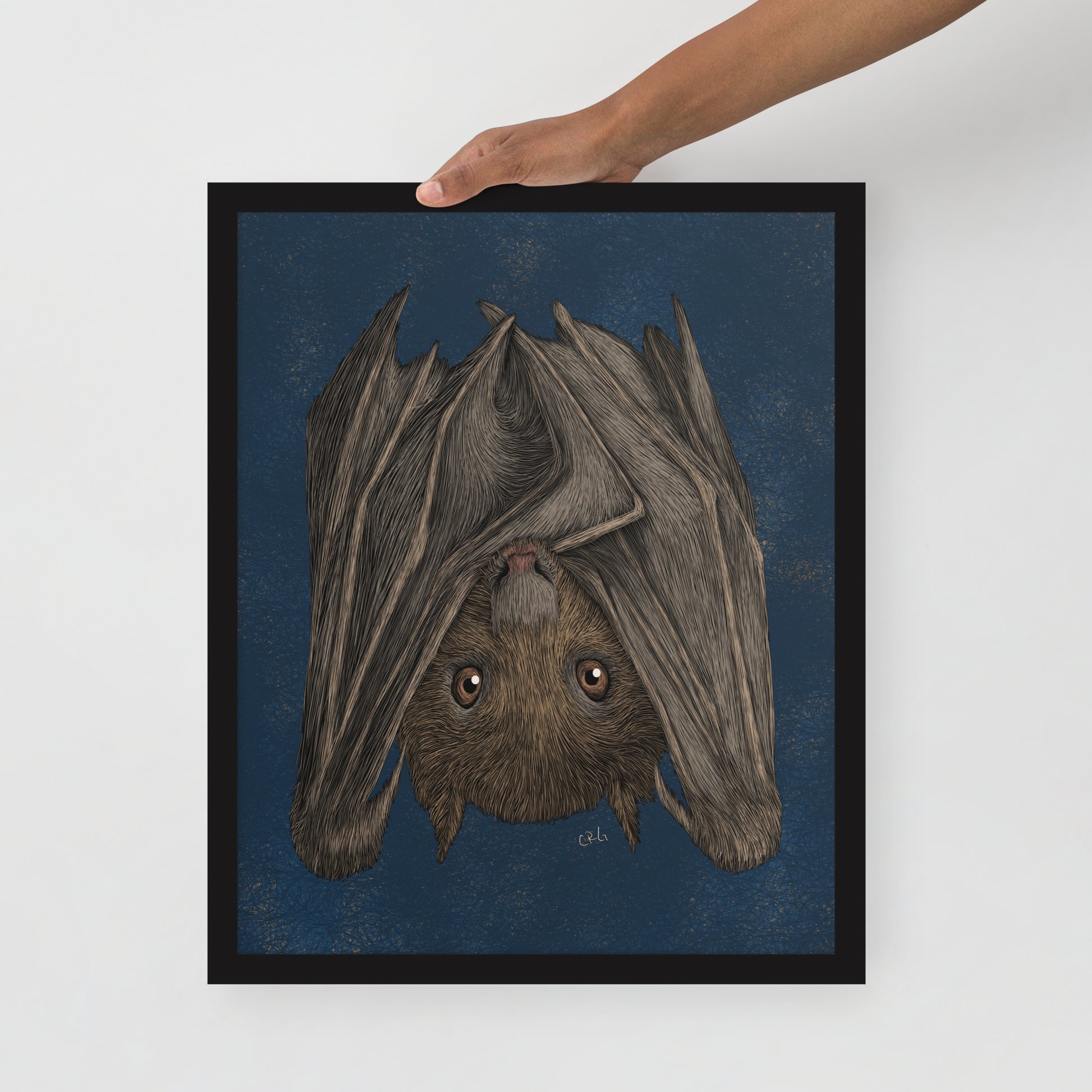 Fruit Bat Art Print