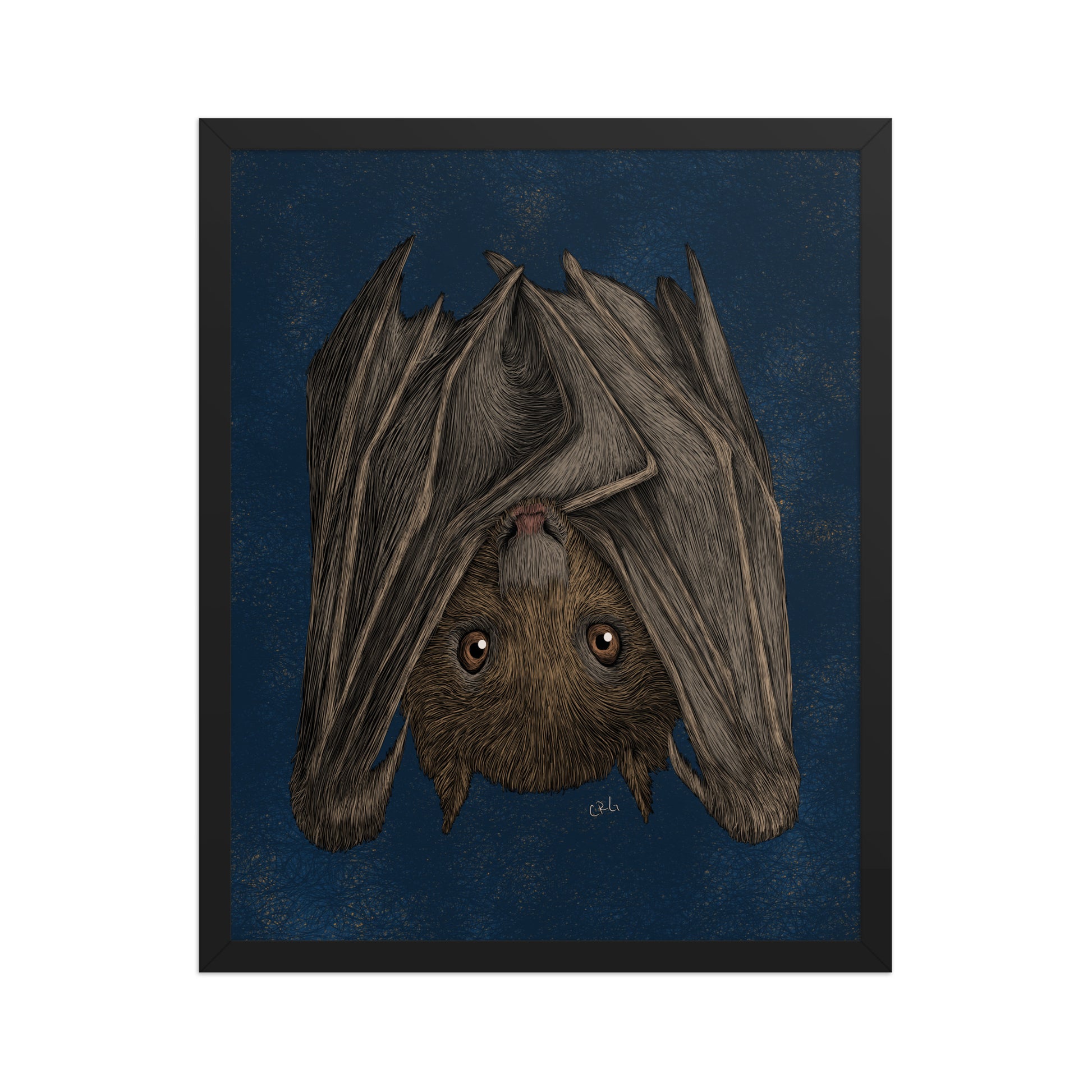Fruit Bat Art Print