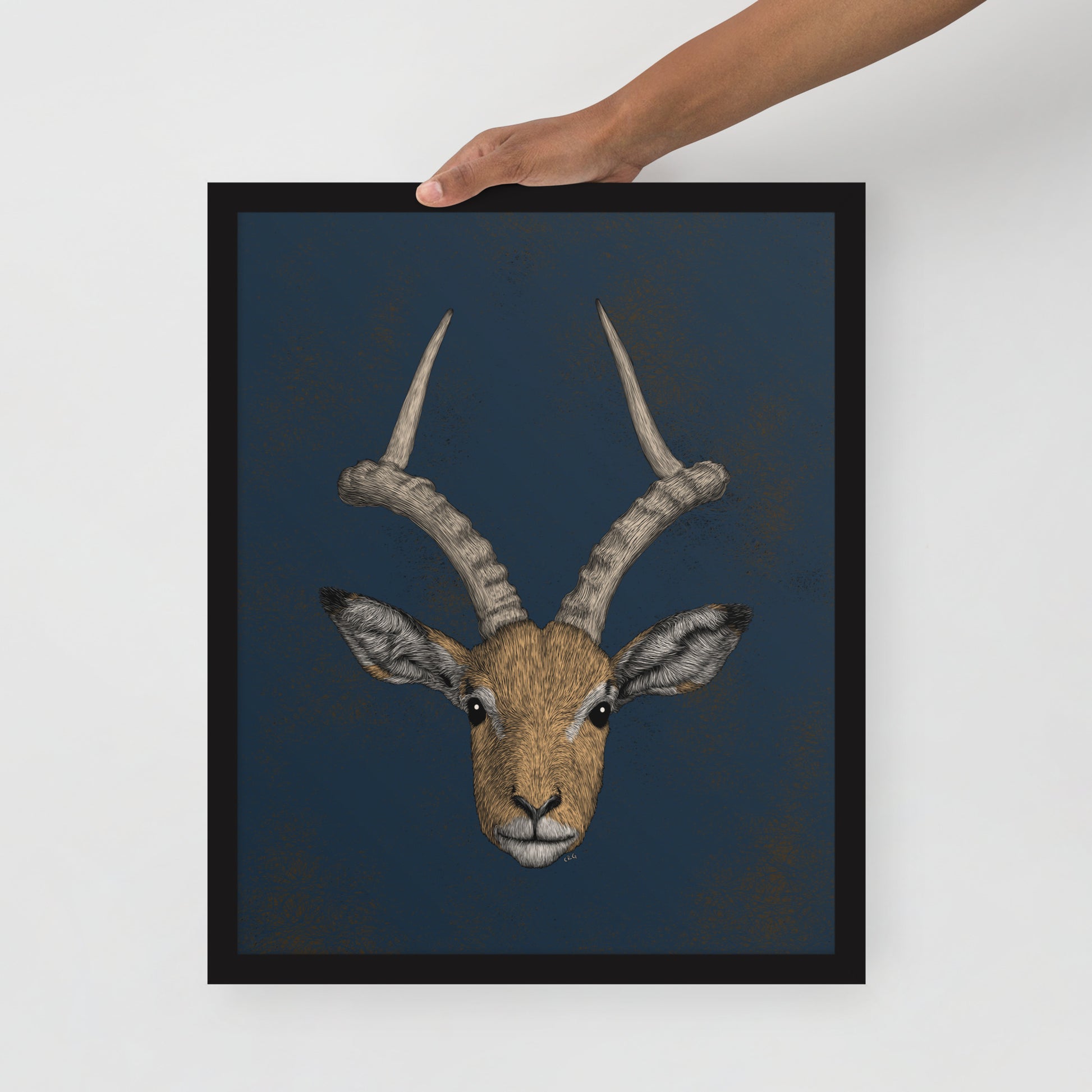 Impala Antelope Art Print