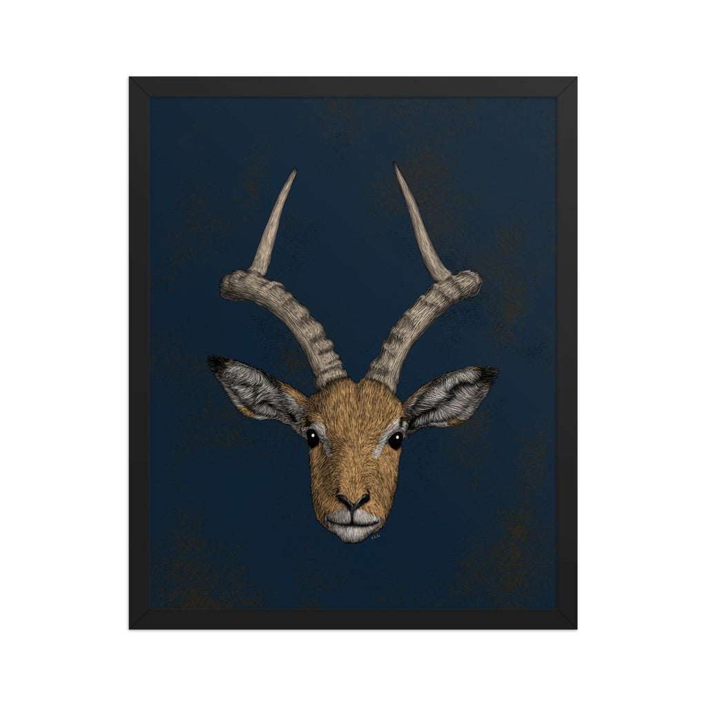 Impala Antelope Art Print