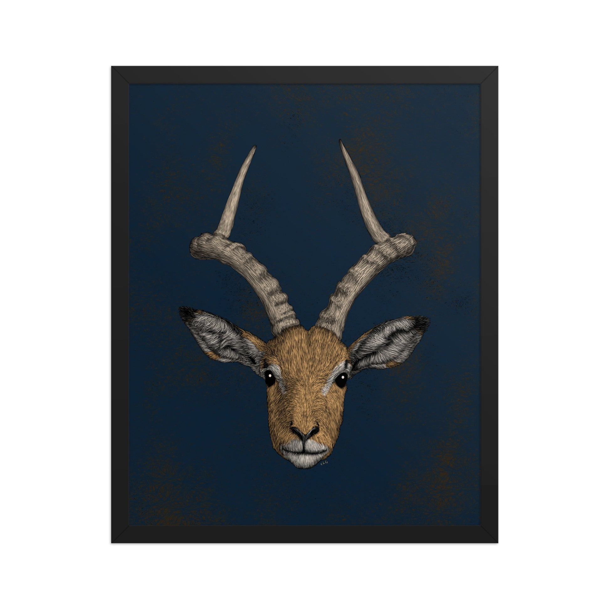Impala Antelope Art Print