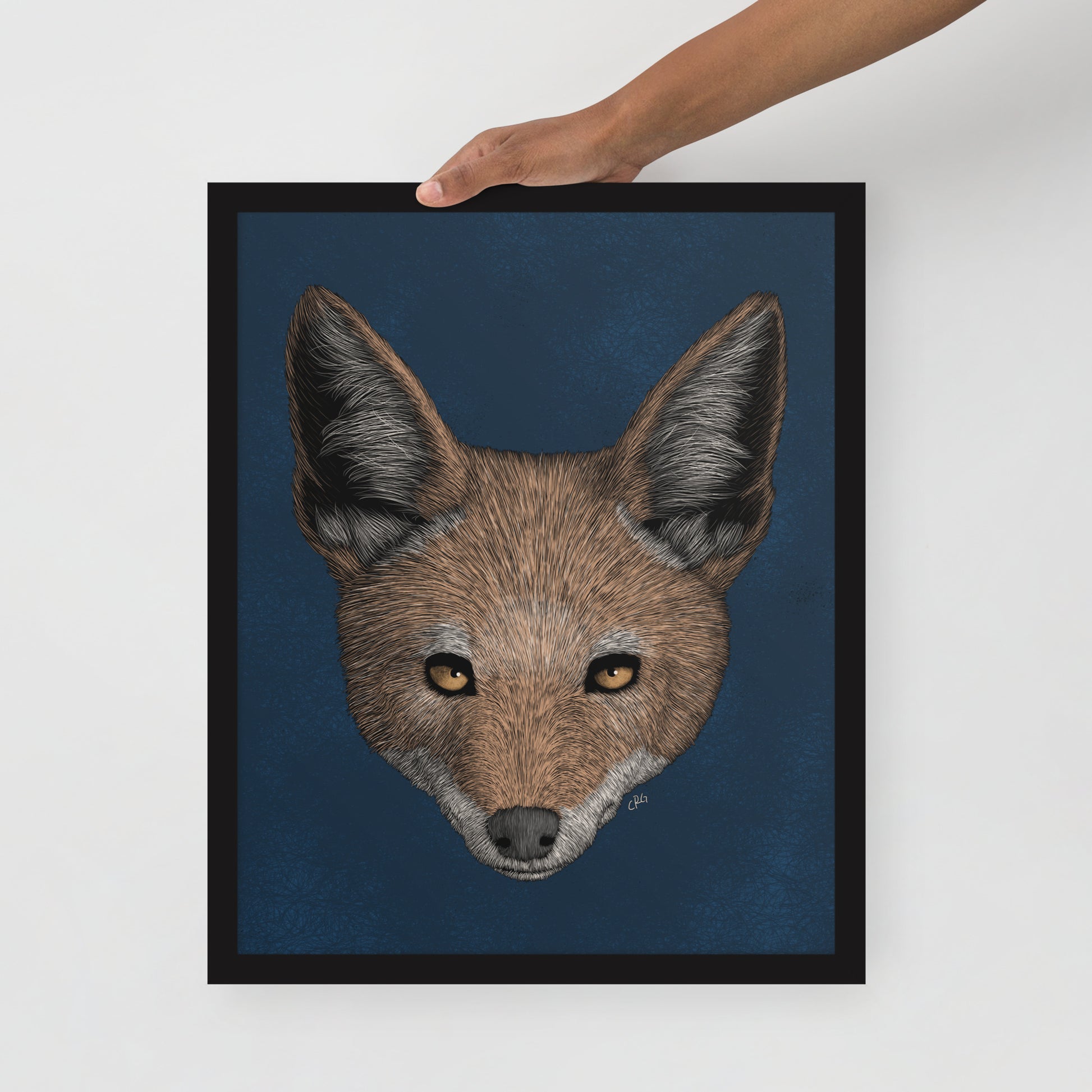 Jackal Art Print