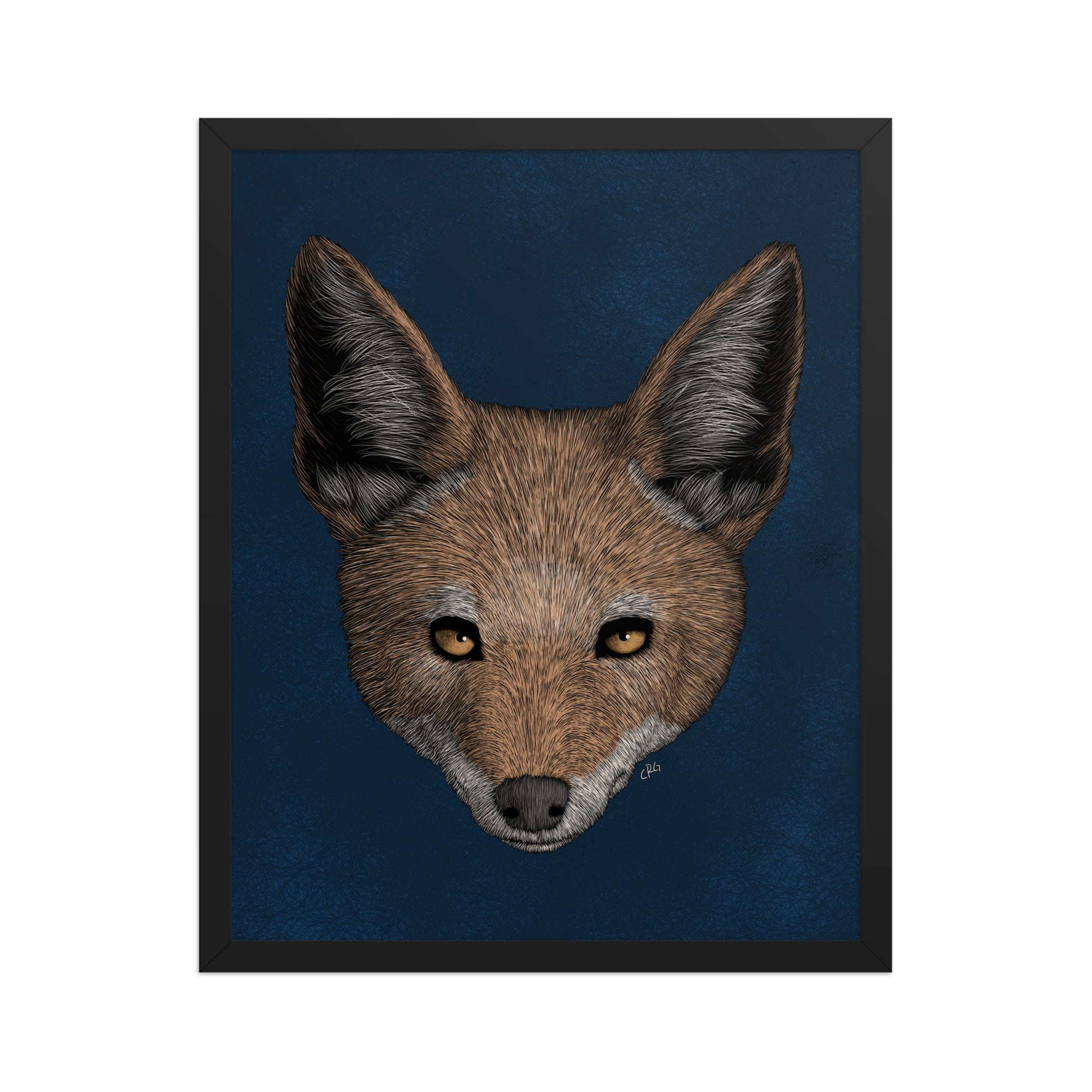 Jackal Art Print