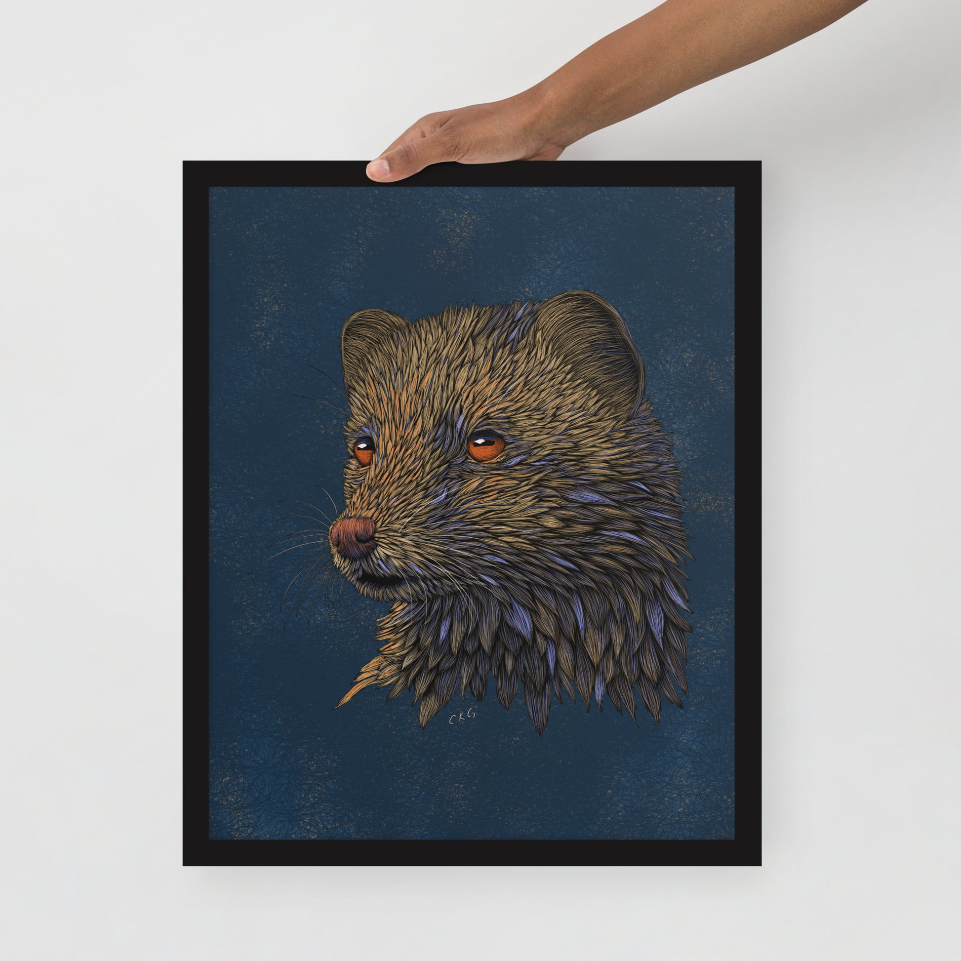 Mongoose Art Print