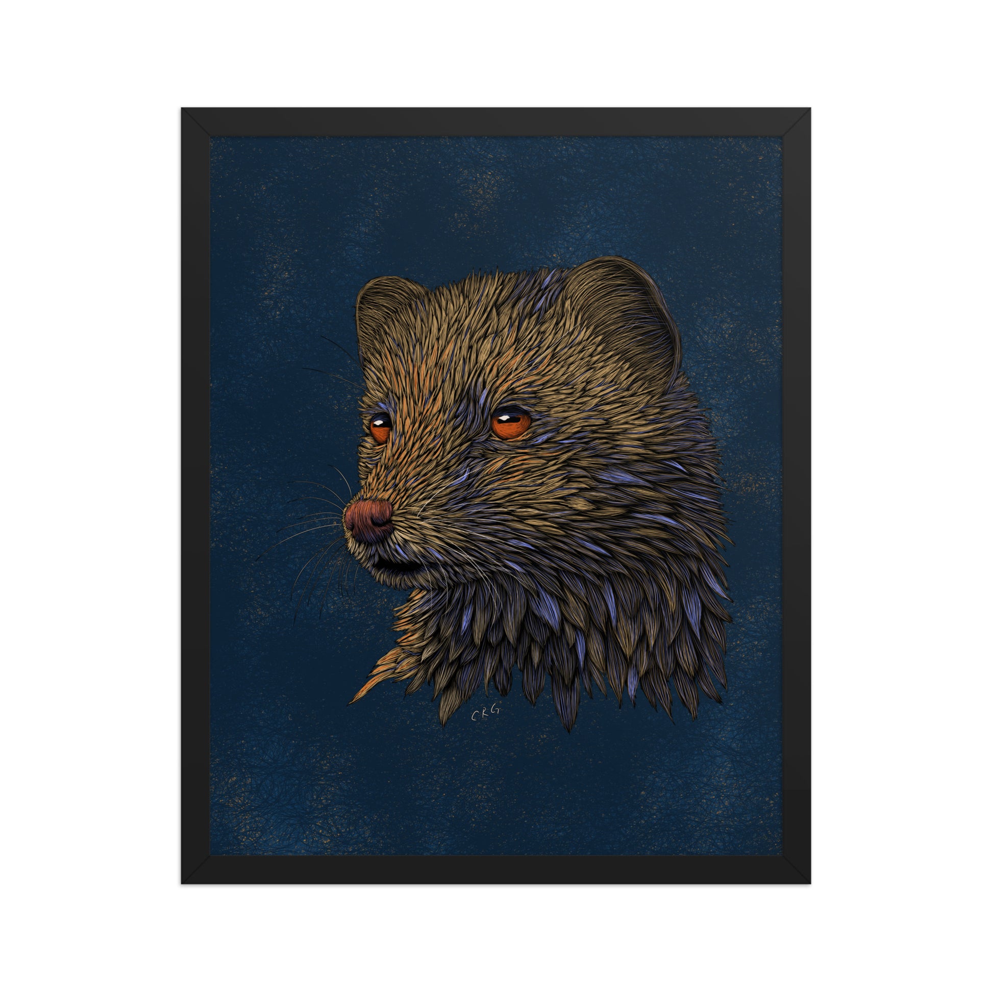 Mongoose Art Print