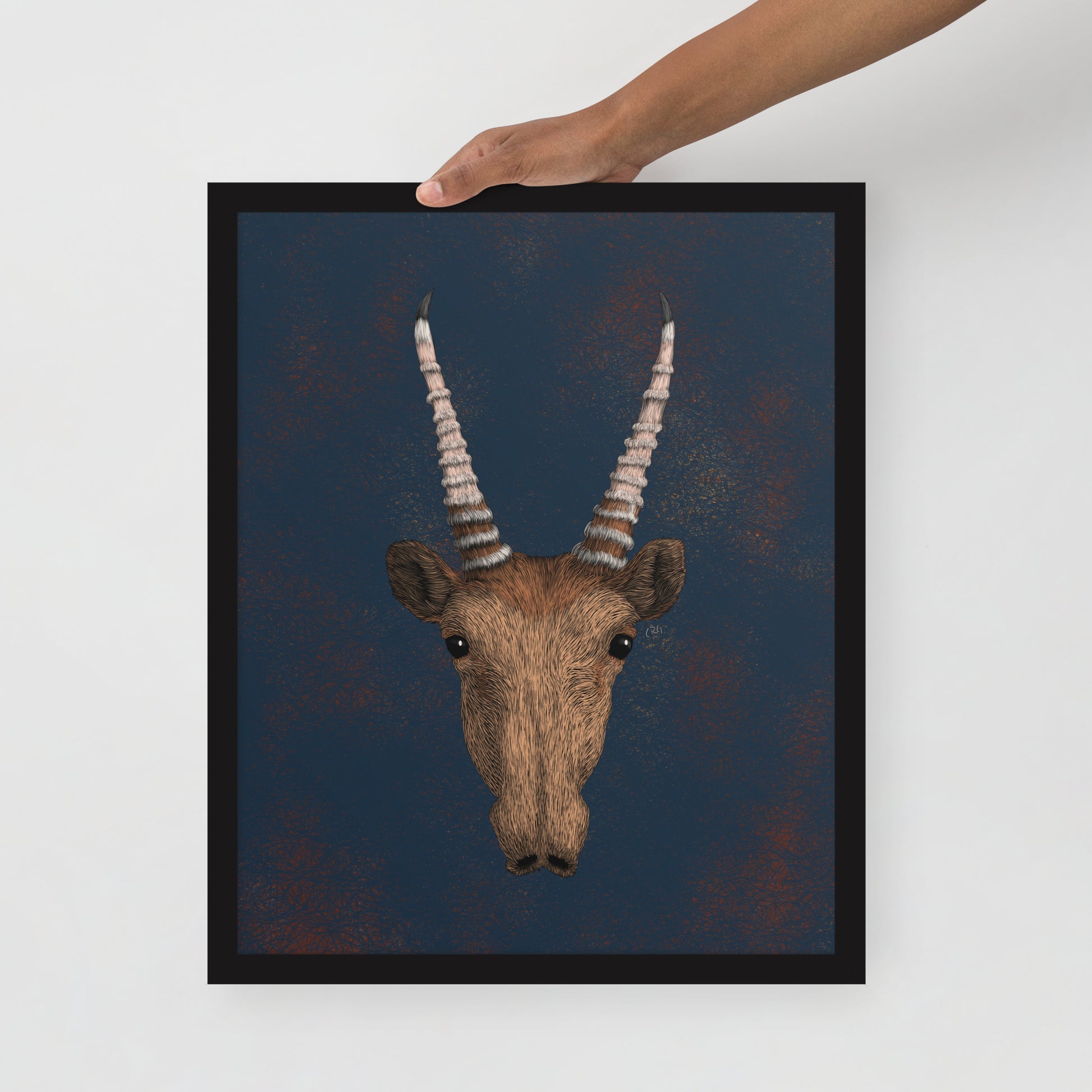Saiga Antelope Art Print