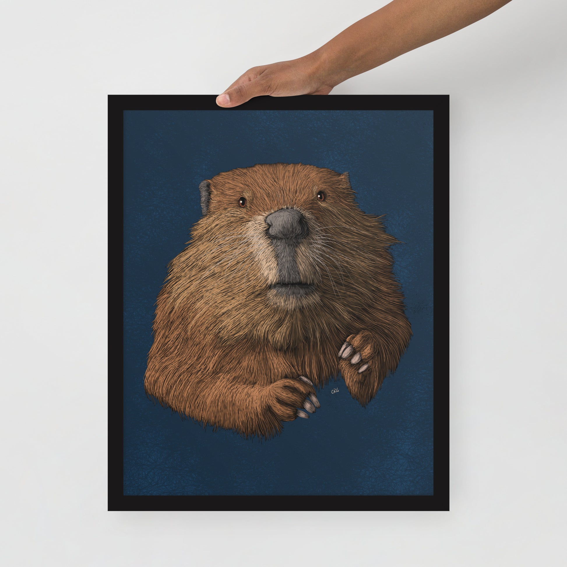 Beaver Art Print