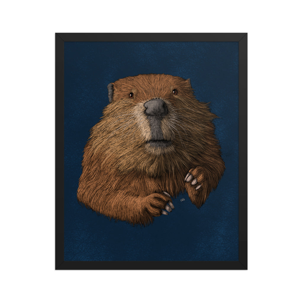 Beaver Art Print