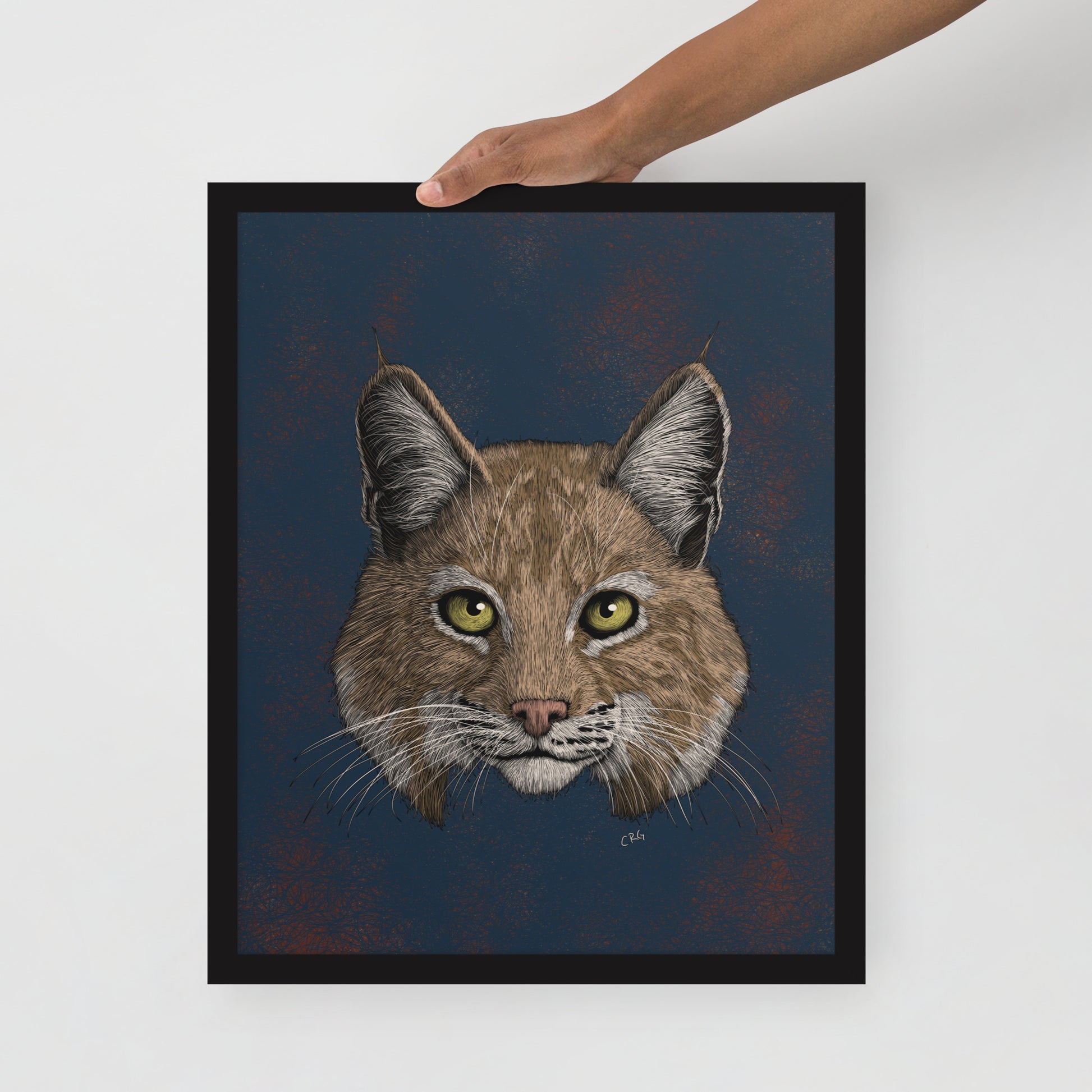 Bobcat Art Print