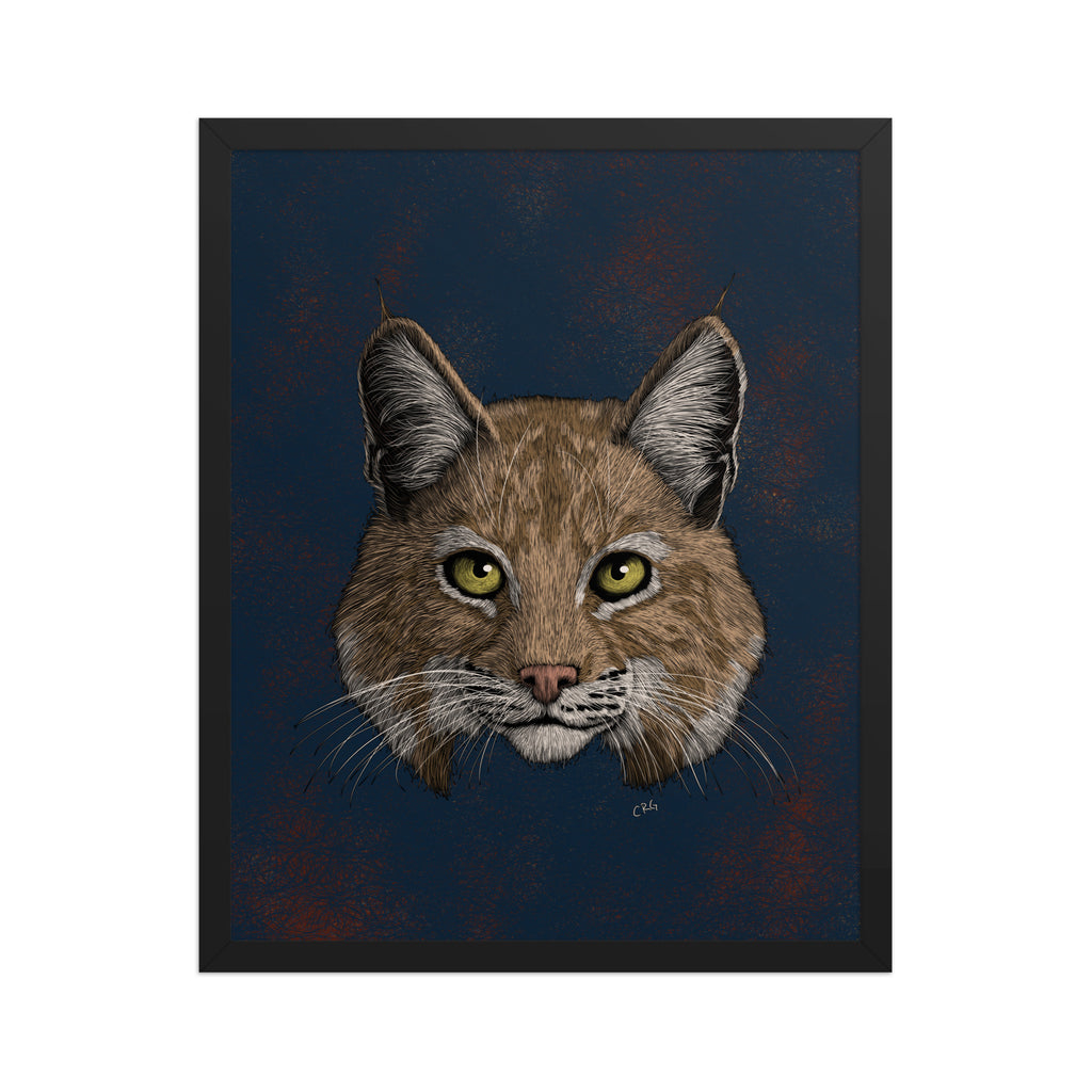 Bobcat Art Print