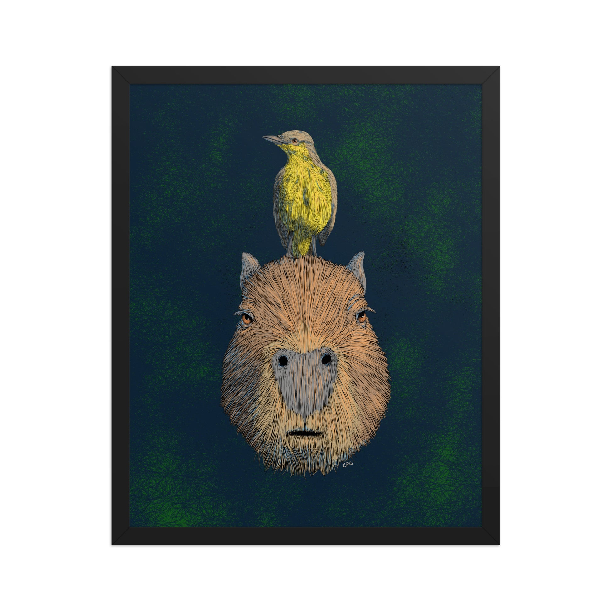 Capybara and Cattle Tyrant Art Print