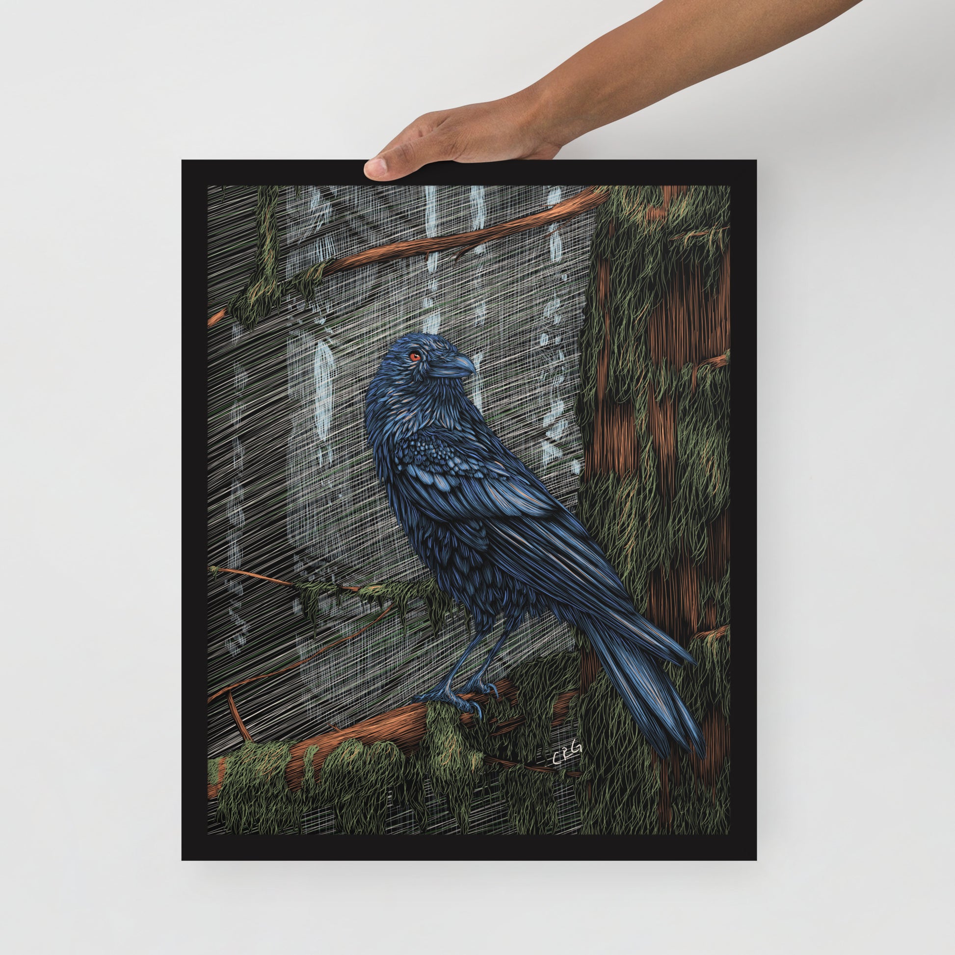 Mysterious Raven Art Print
