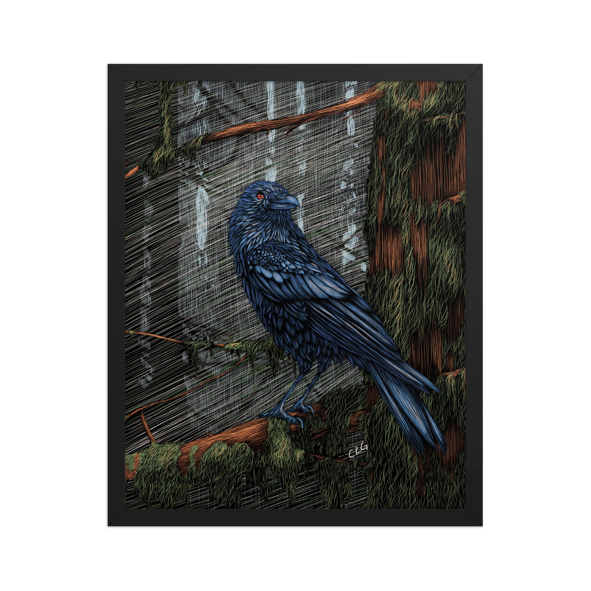 Mysterious Raven Art Print