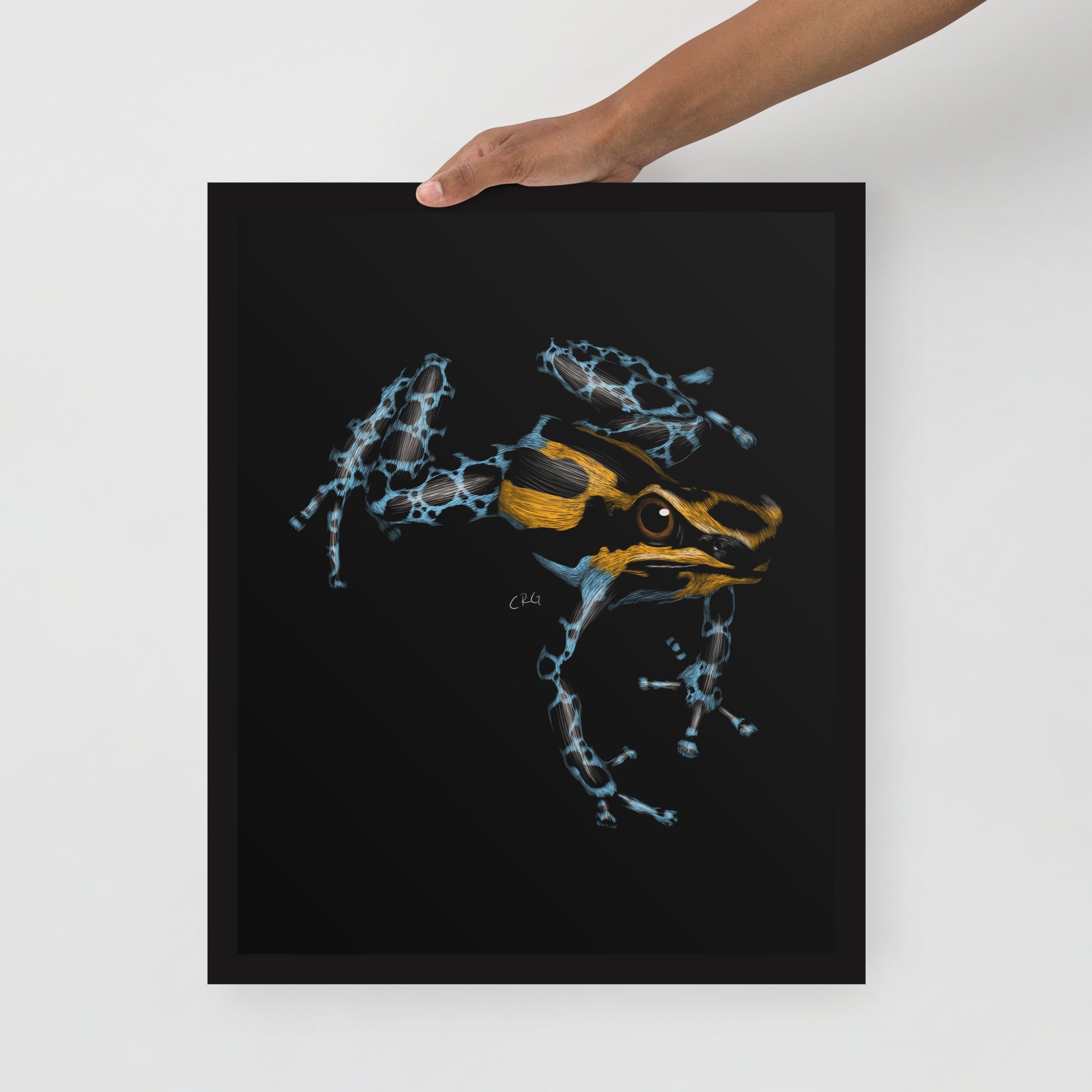 Poison Dart Frog Art Print