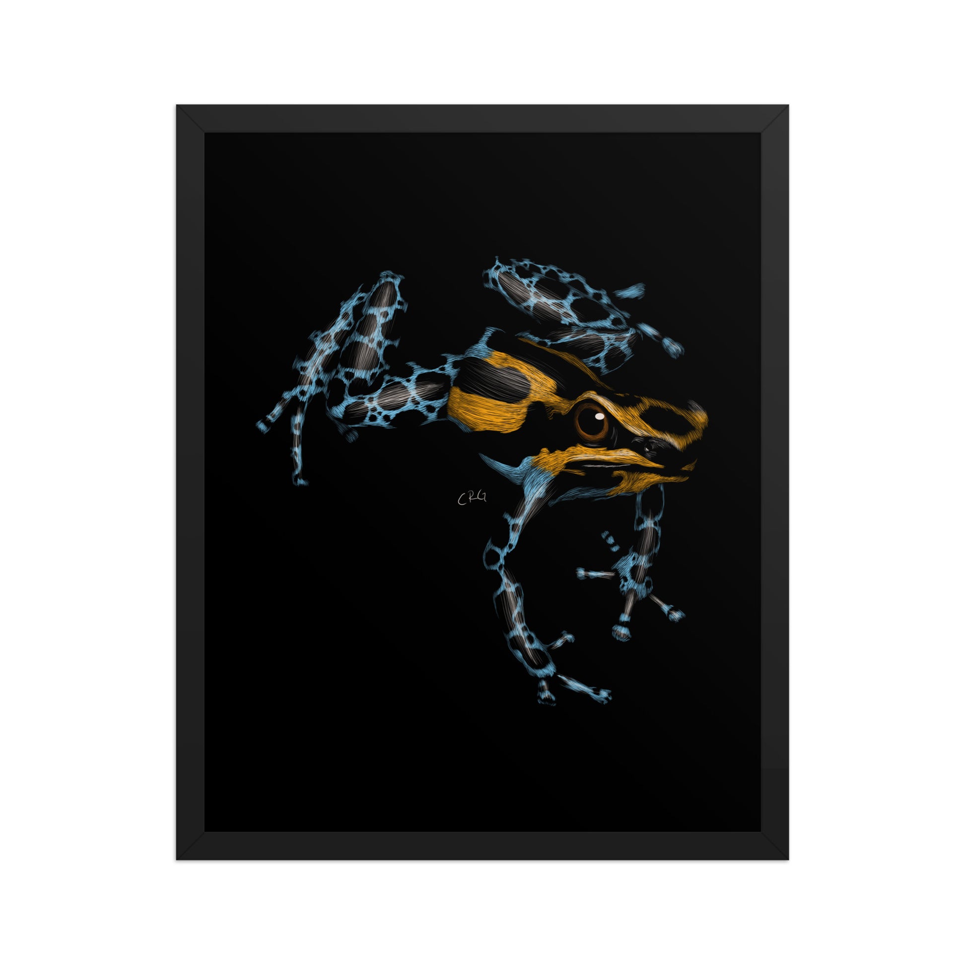 Poison Dart Frog Art Print