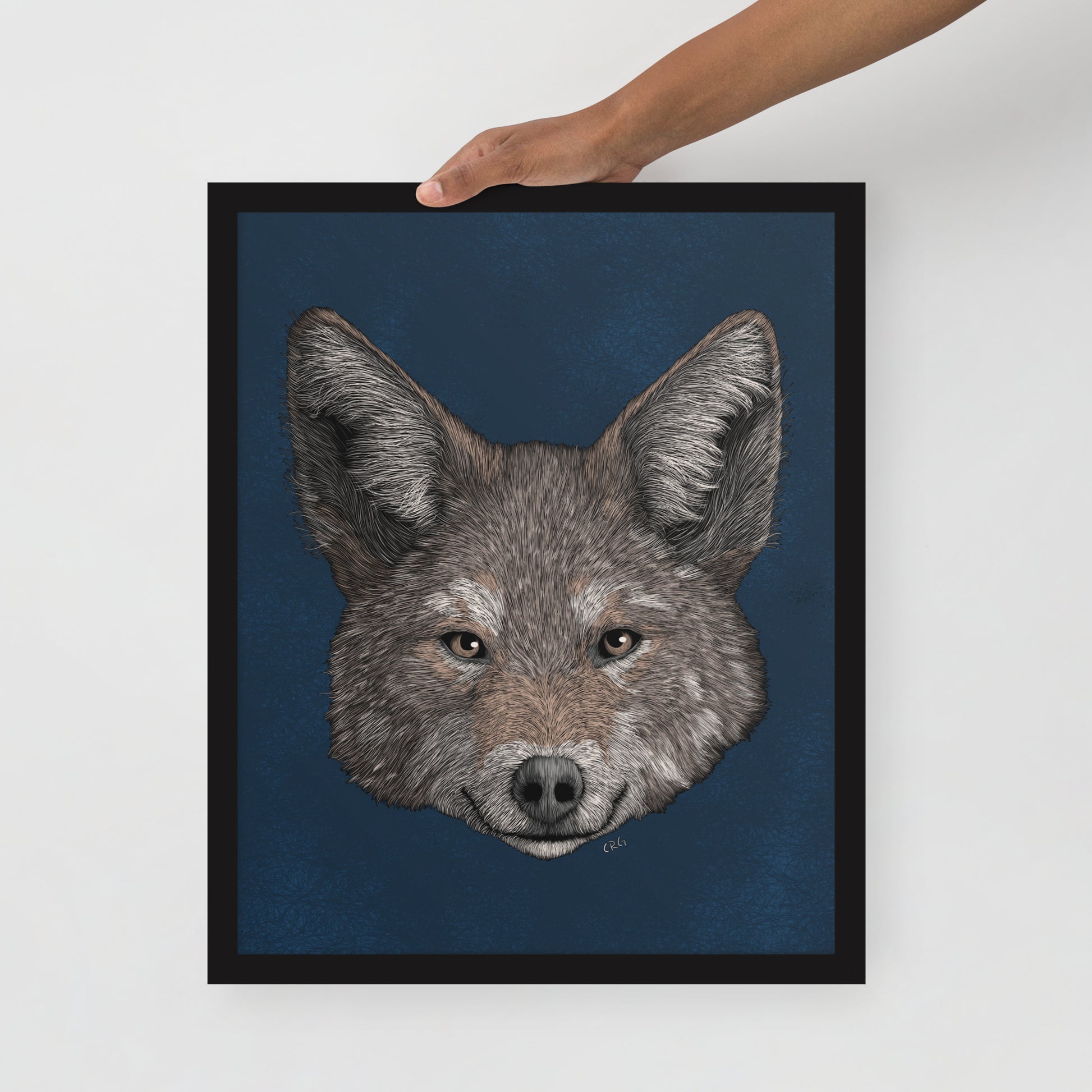 Coyote Art Print