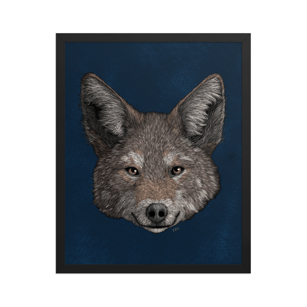Coyote Art Print