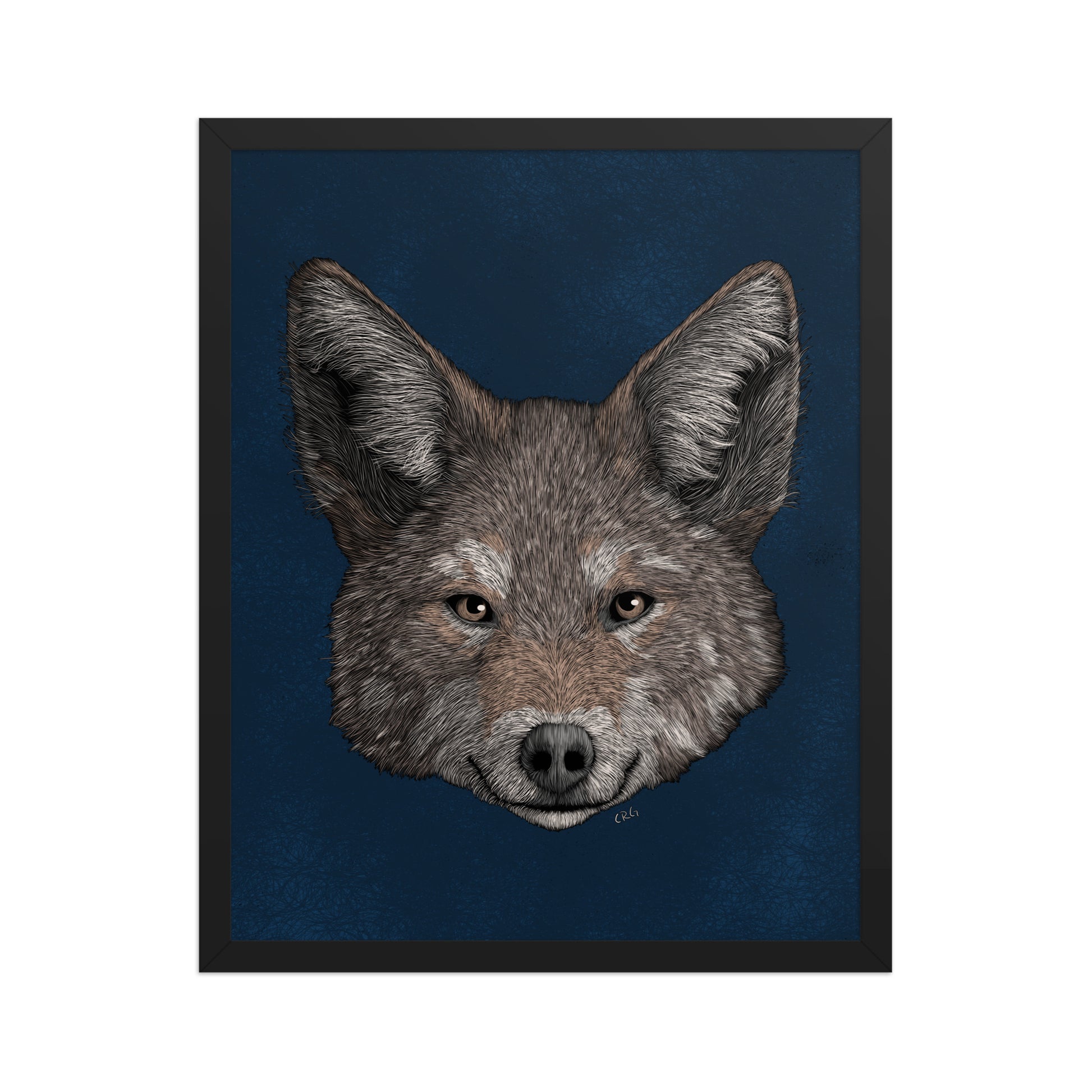Coyote Art Print