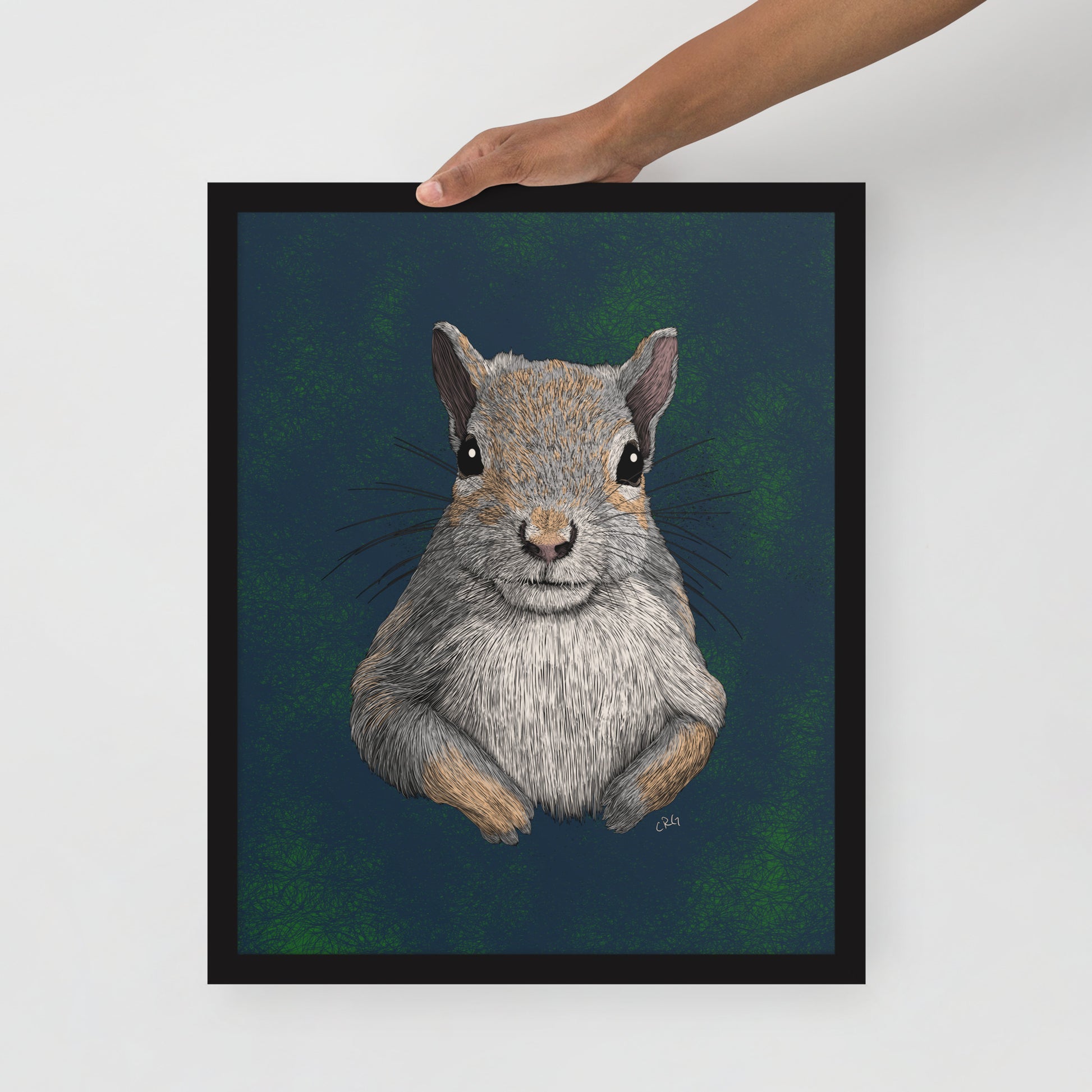 Squirrel Art Print