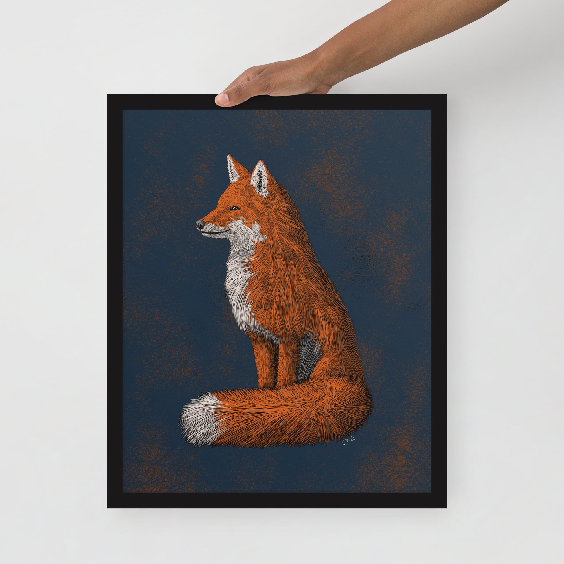 Red Fox Art Print