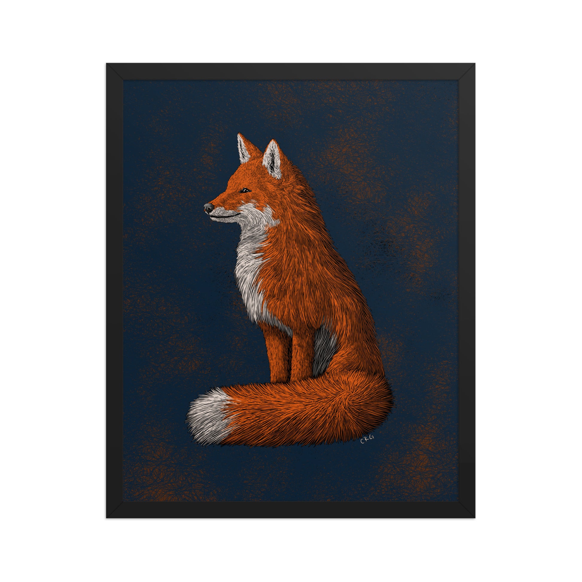 Red Fox Art Print