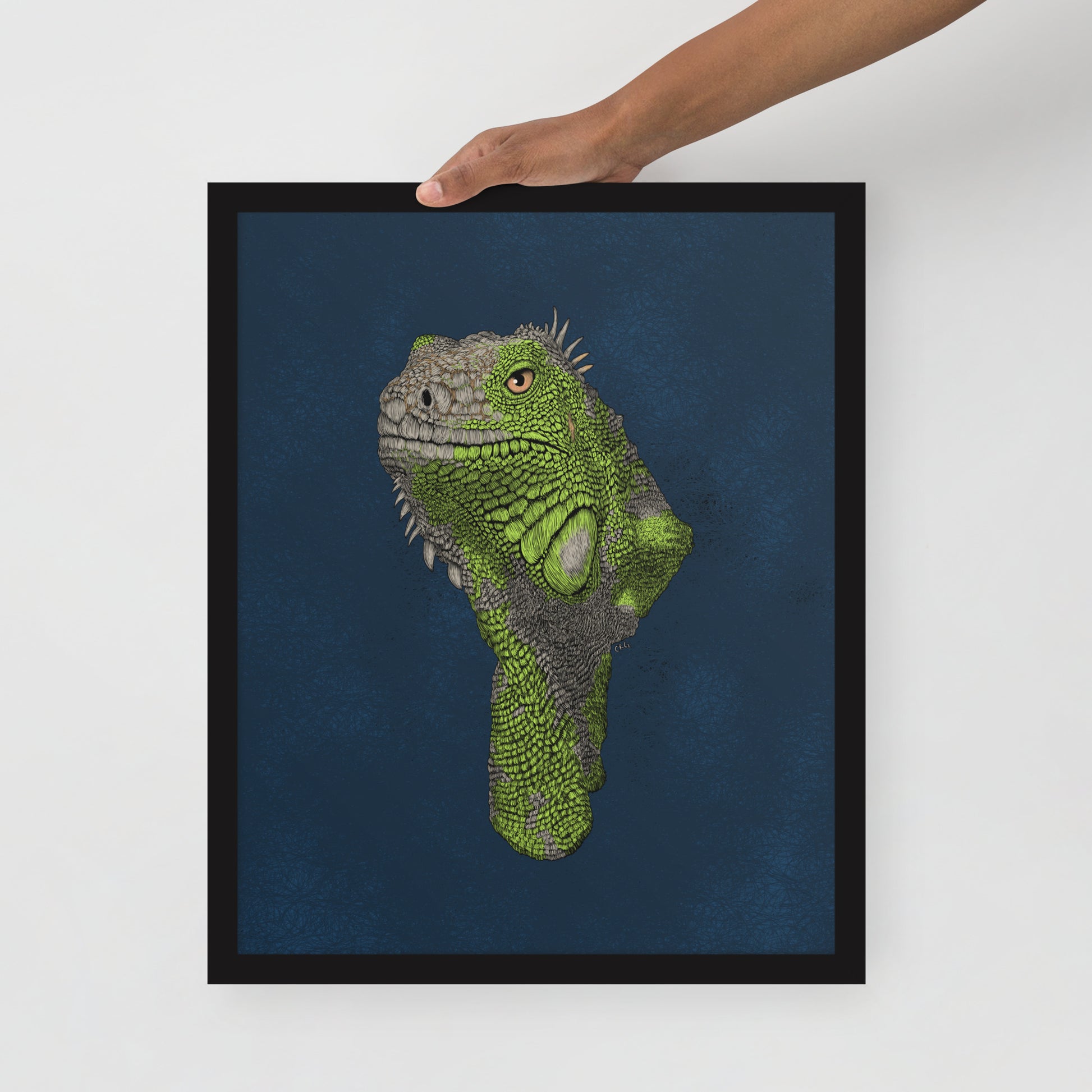 Iguana Art Print