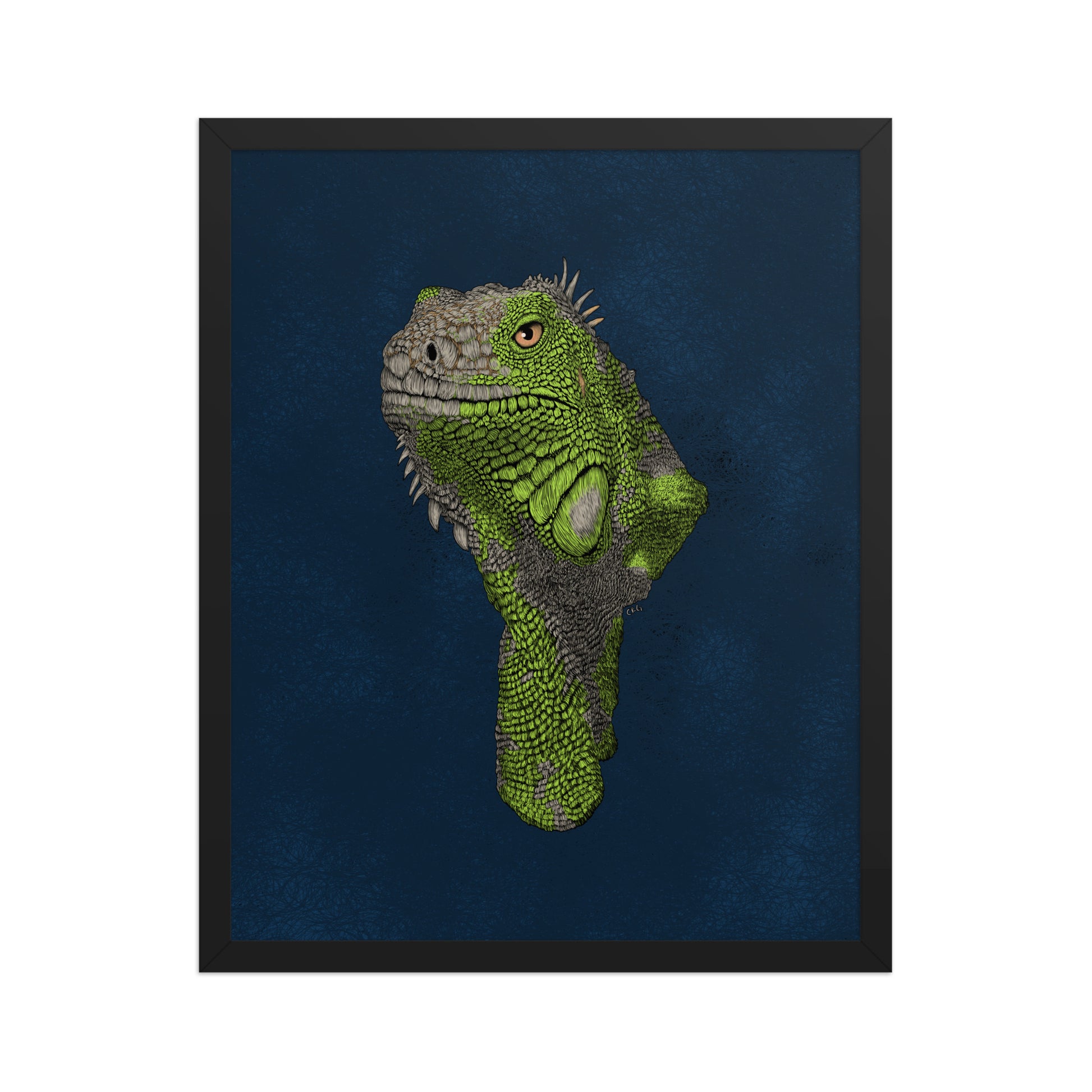 Iguana Art Print