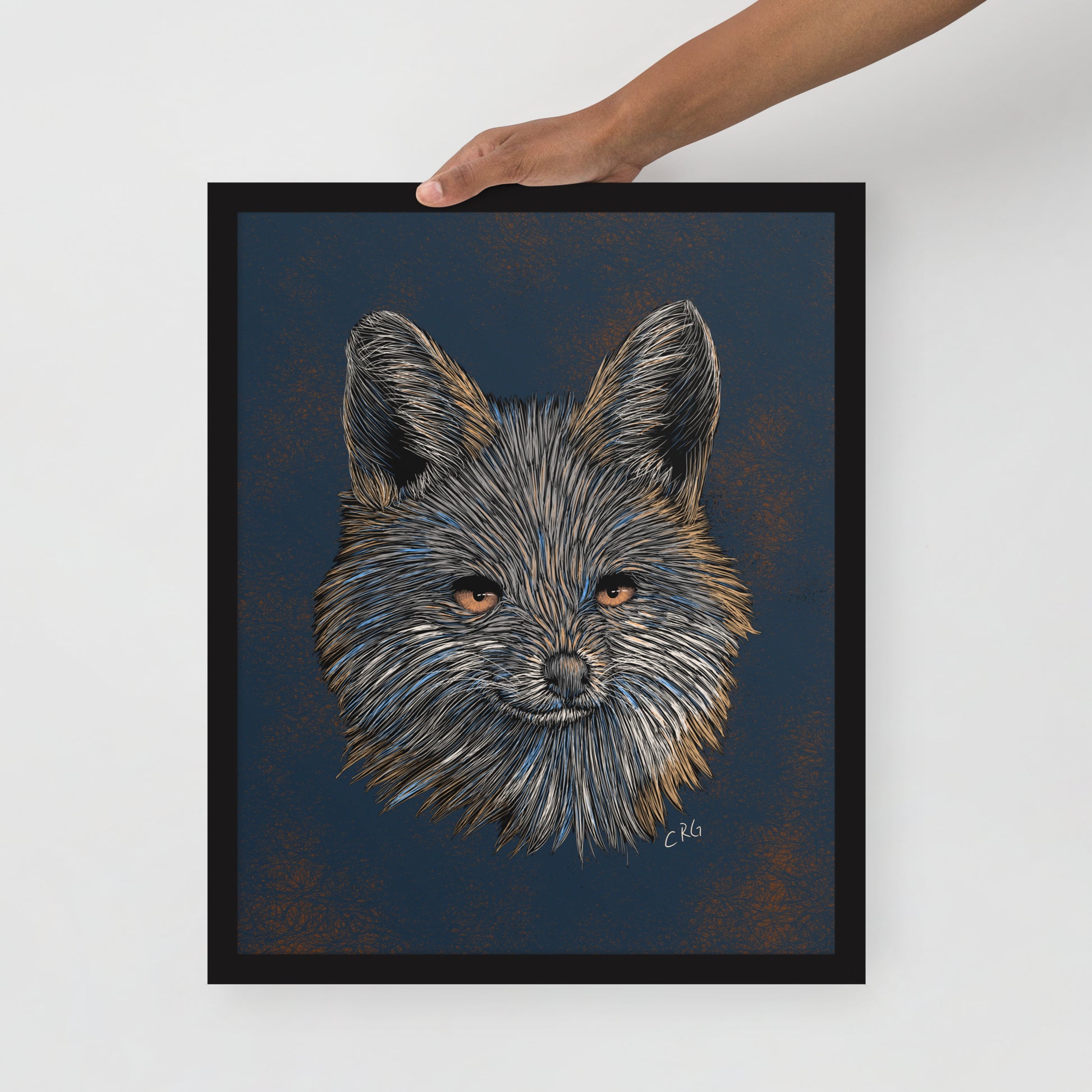 Gray Fox Art Print