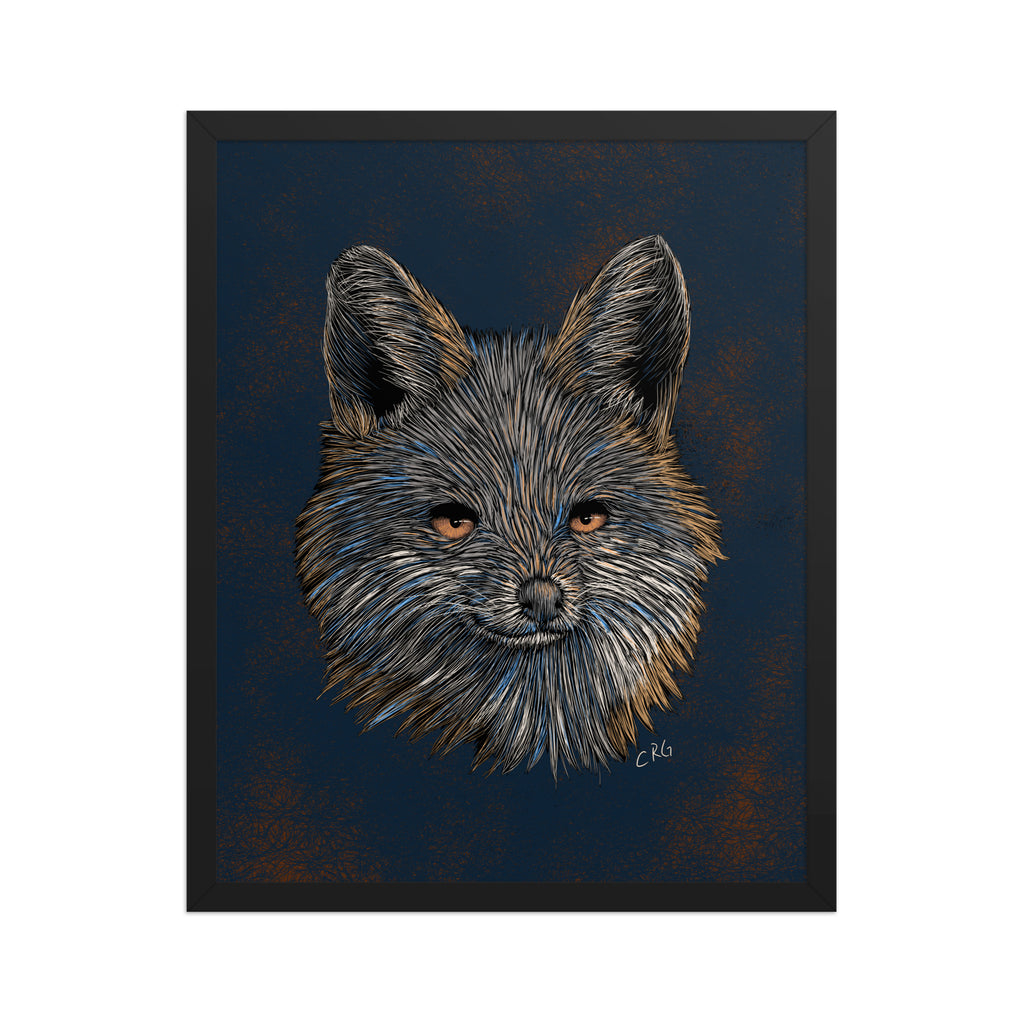 Gray Fox Art Print