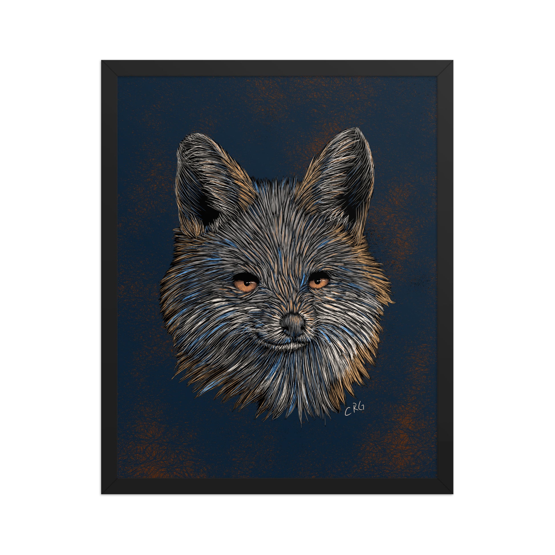 Gray Fox Art Print