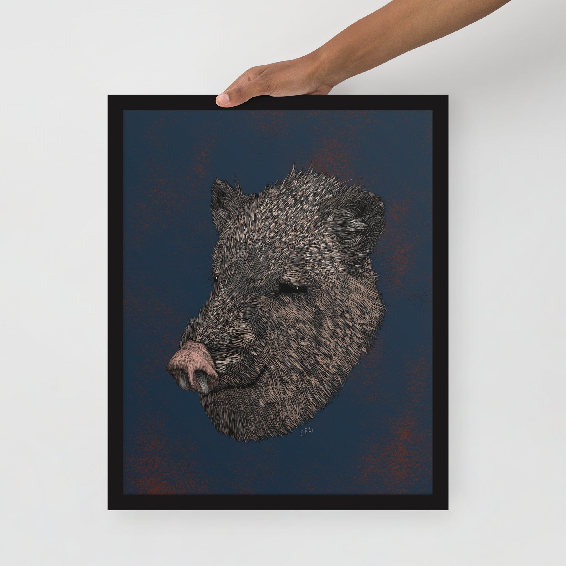 Javelina Art Print