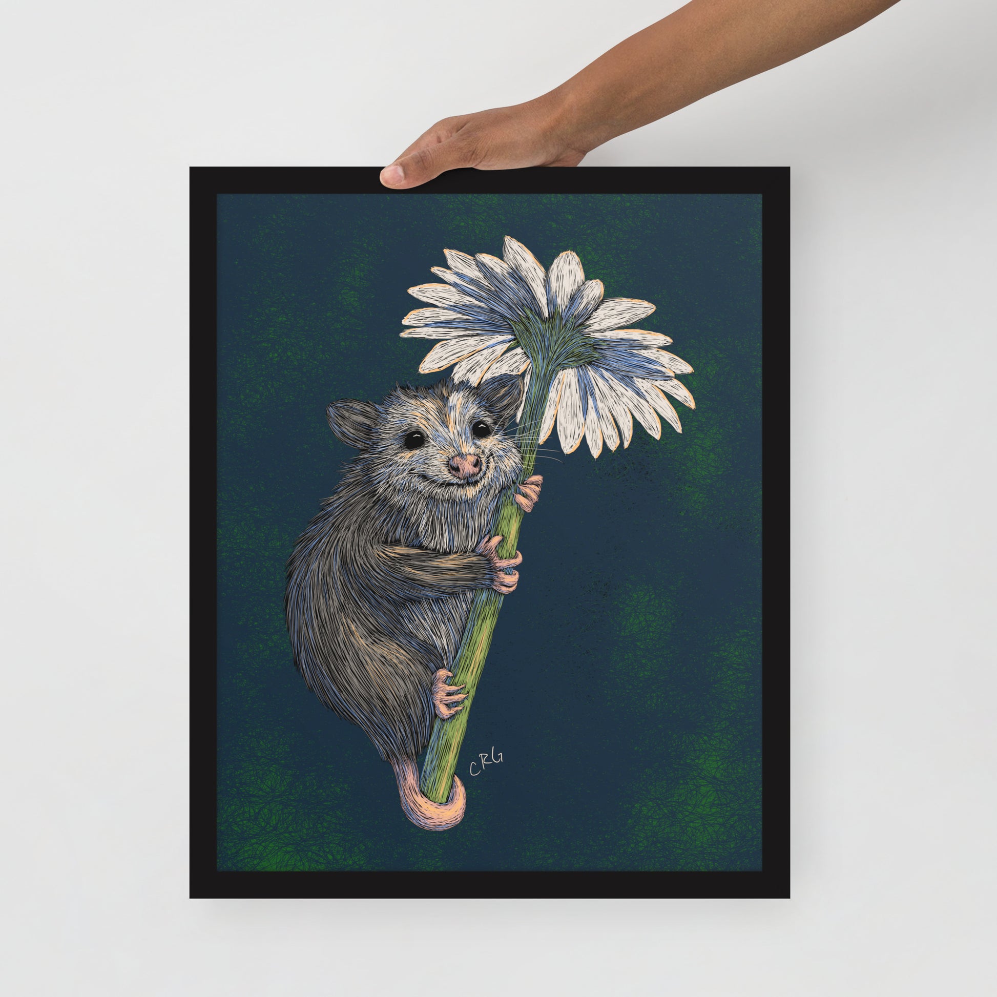 Opossum Hugging Daisy Art Print