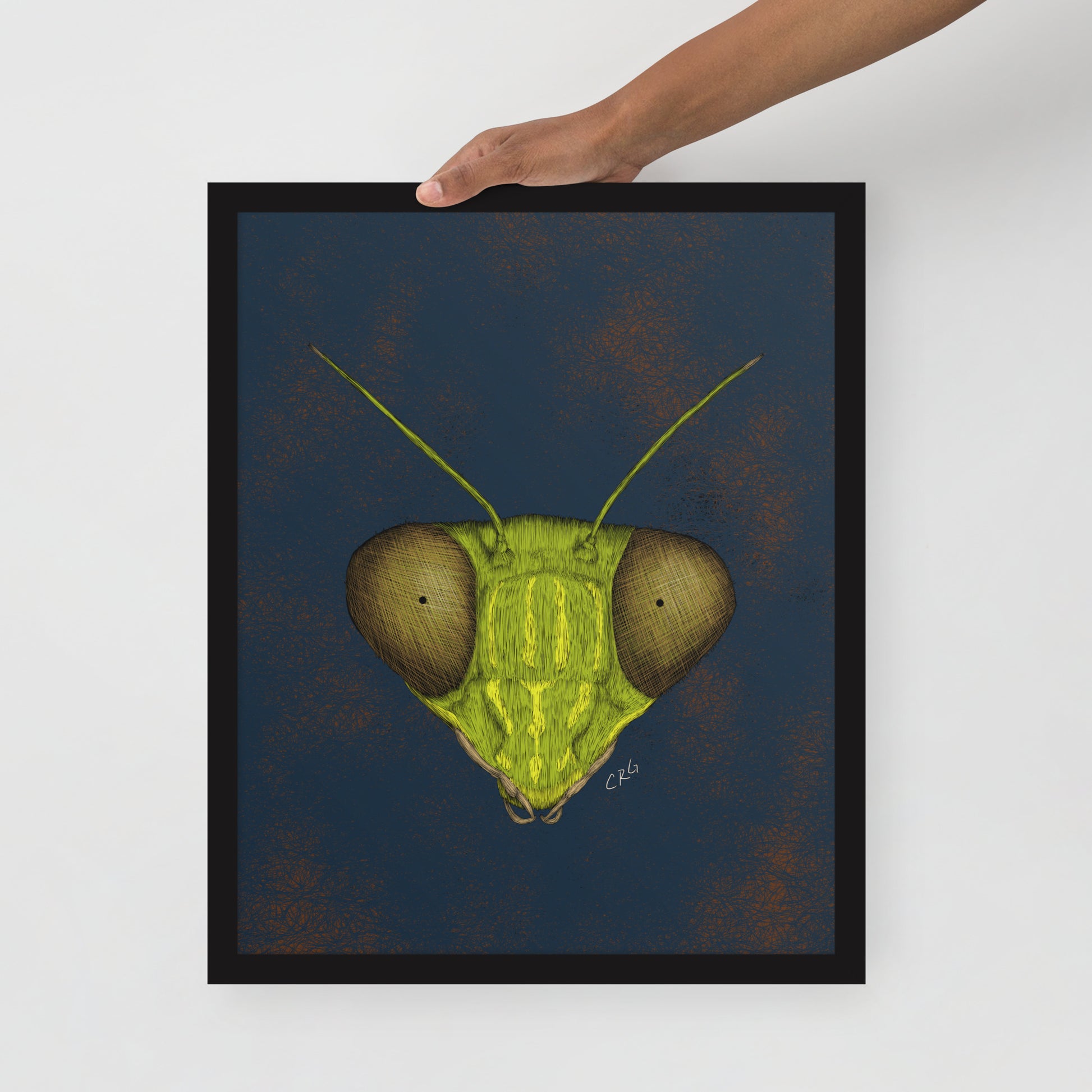 Praying Mantis Art Print