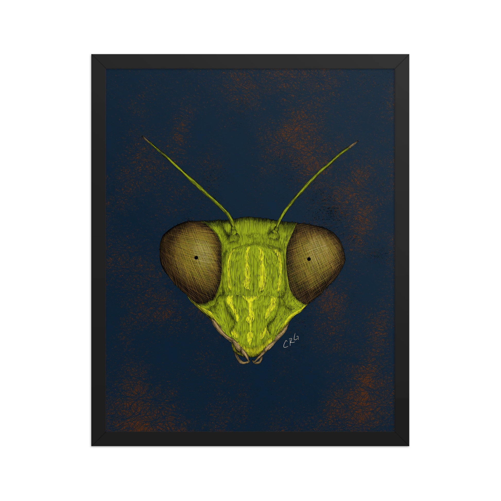 Praying Mantis Art Print