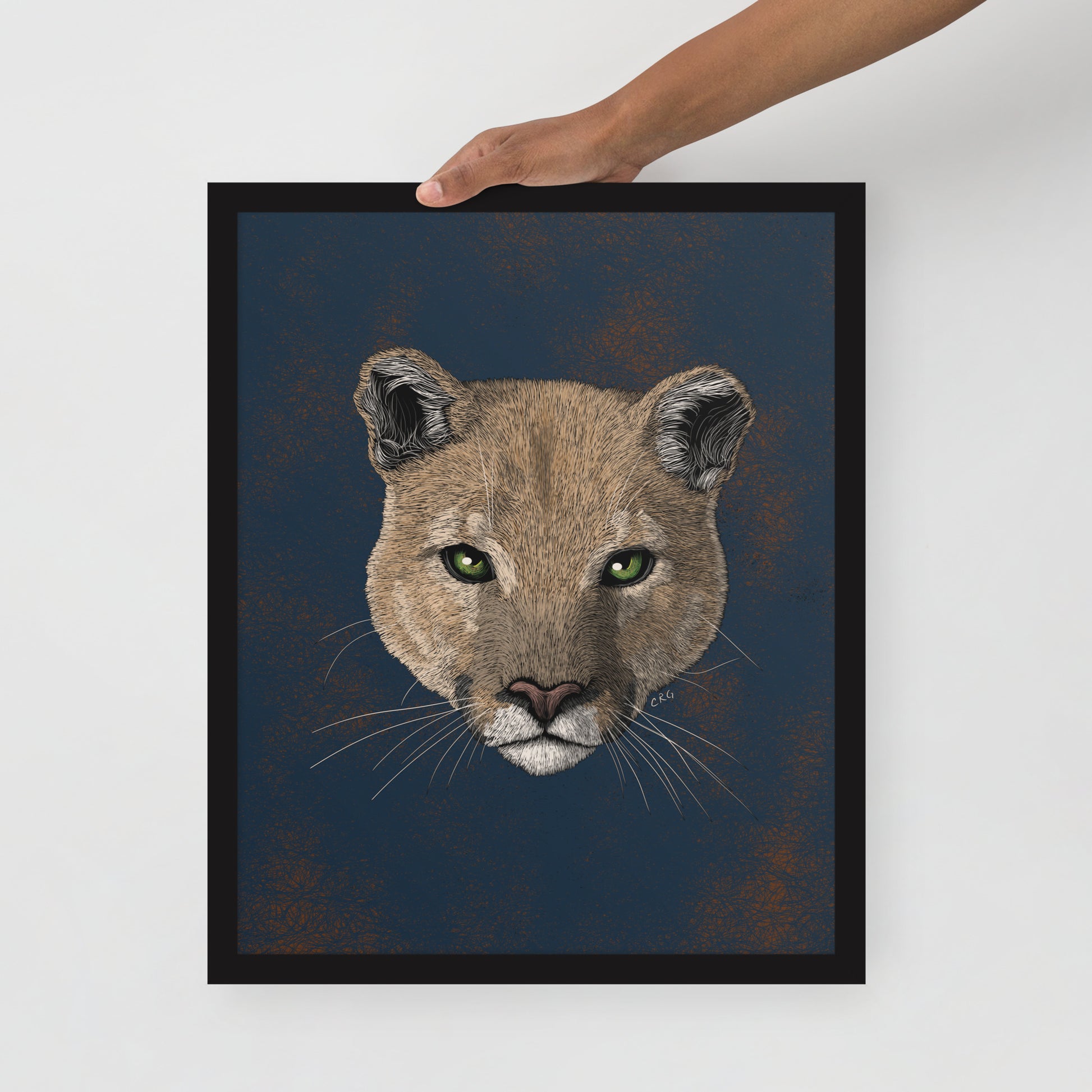 Mountain Lion Art Print