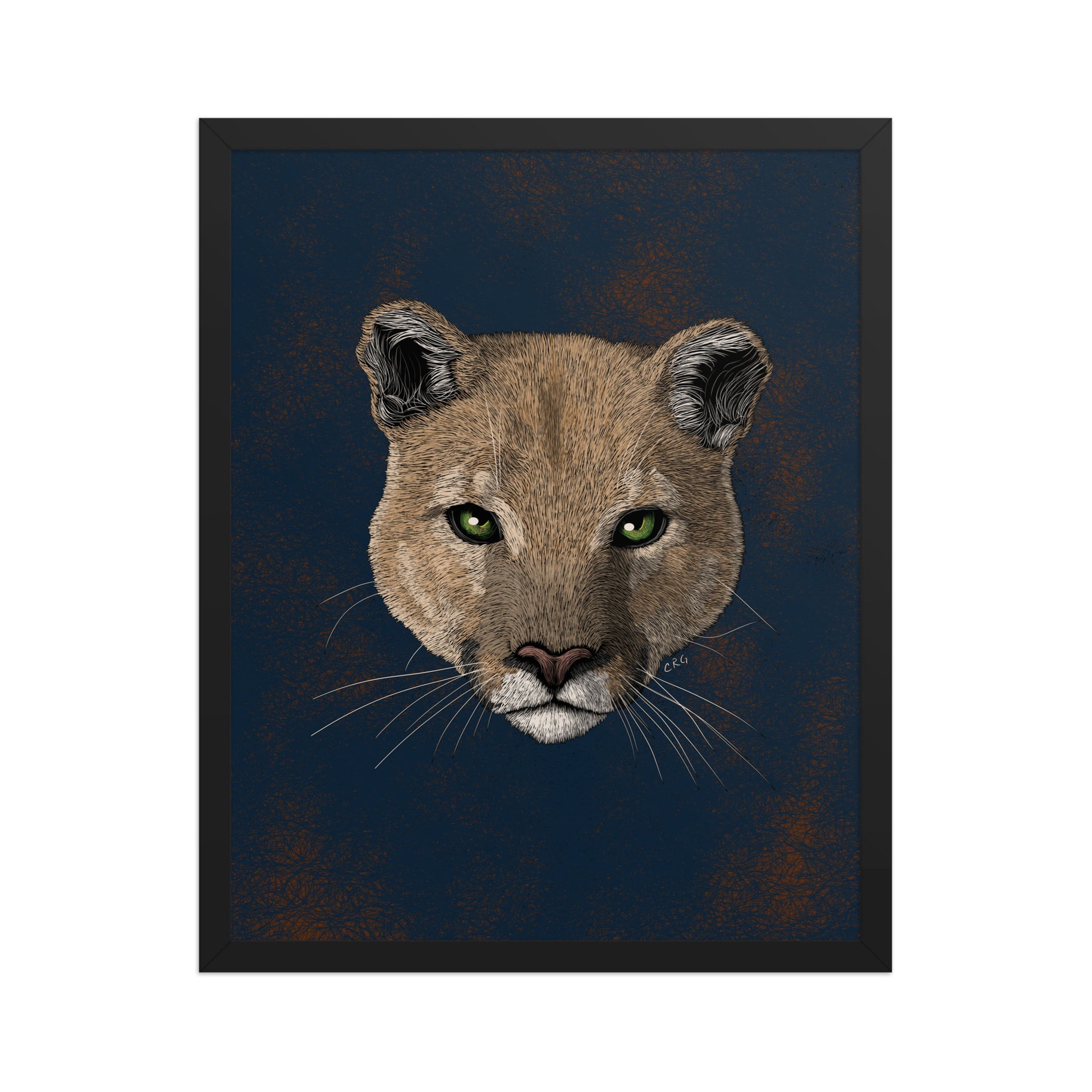 Mountain Lion Art Print