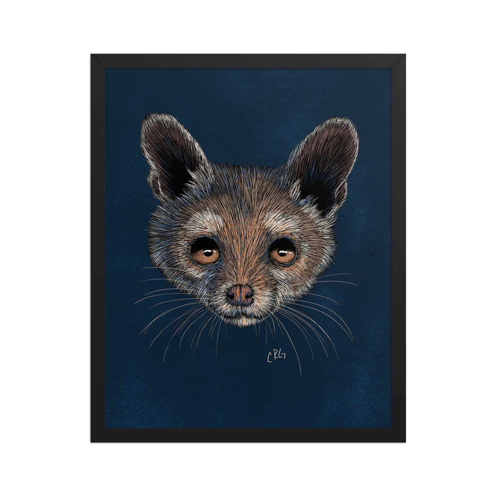Ringtail Cat Art Print