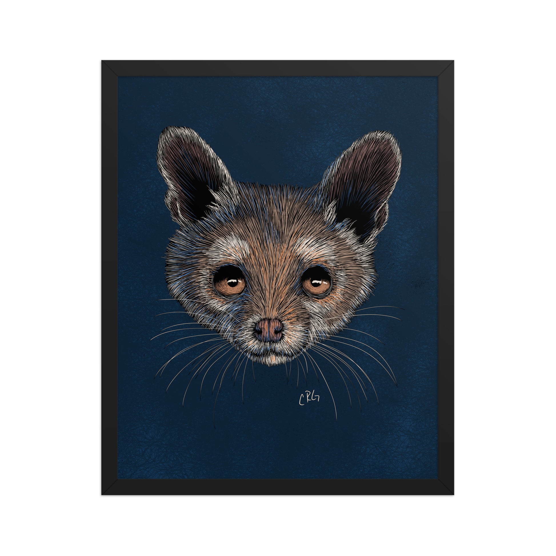 Ringtail Cat Art Print