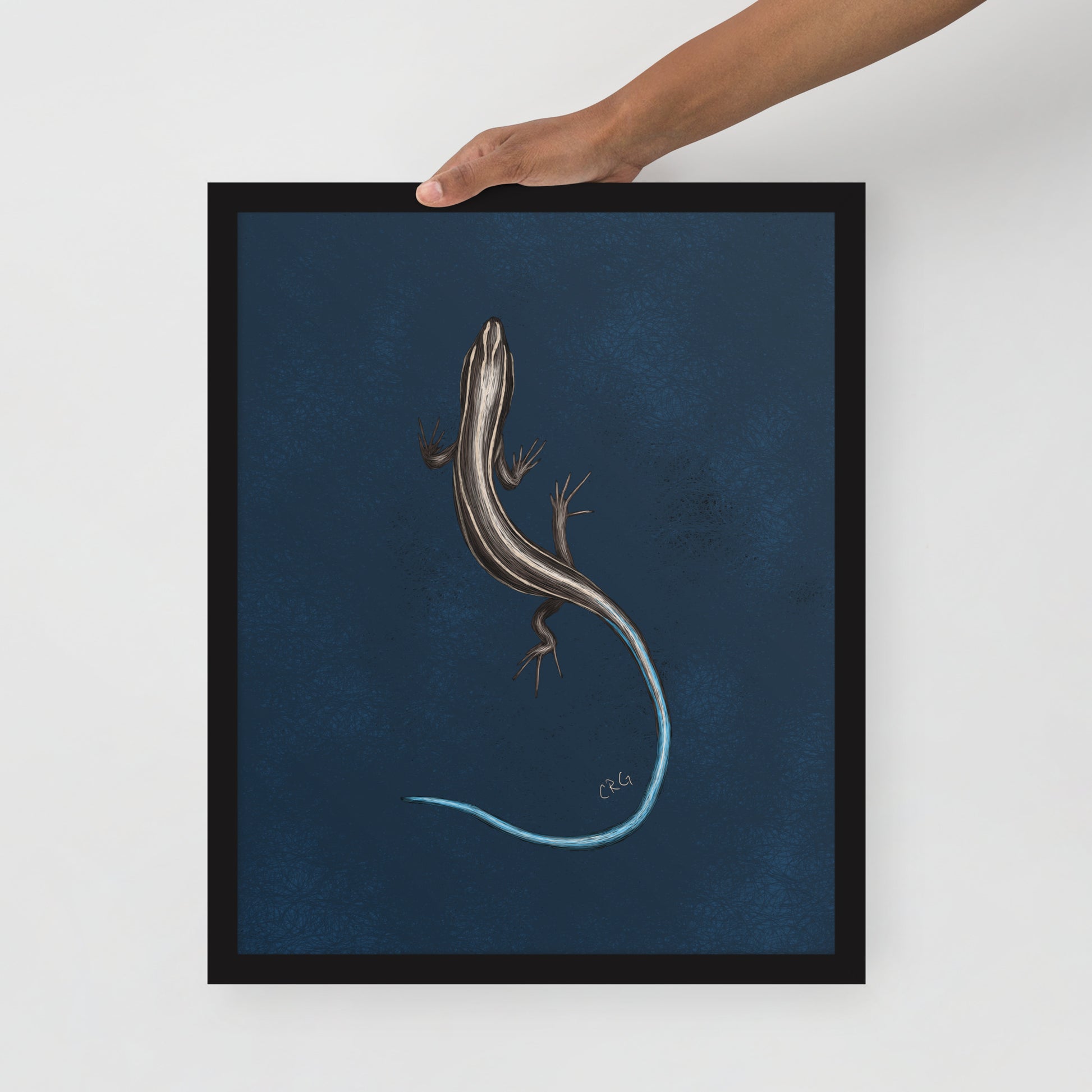 Skink Art Print
