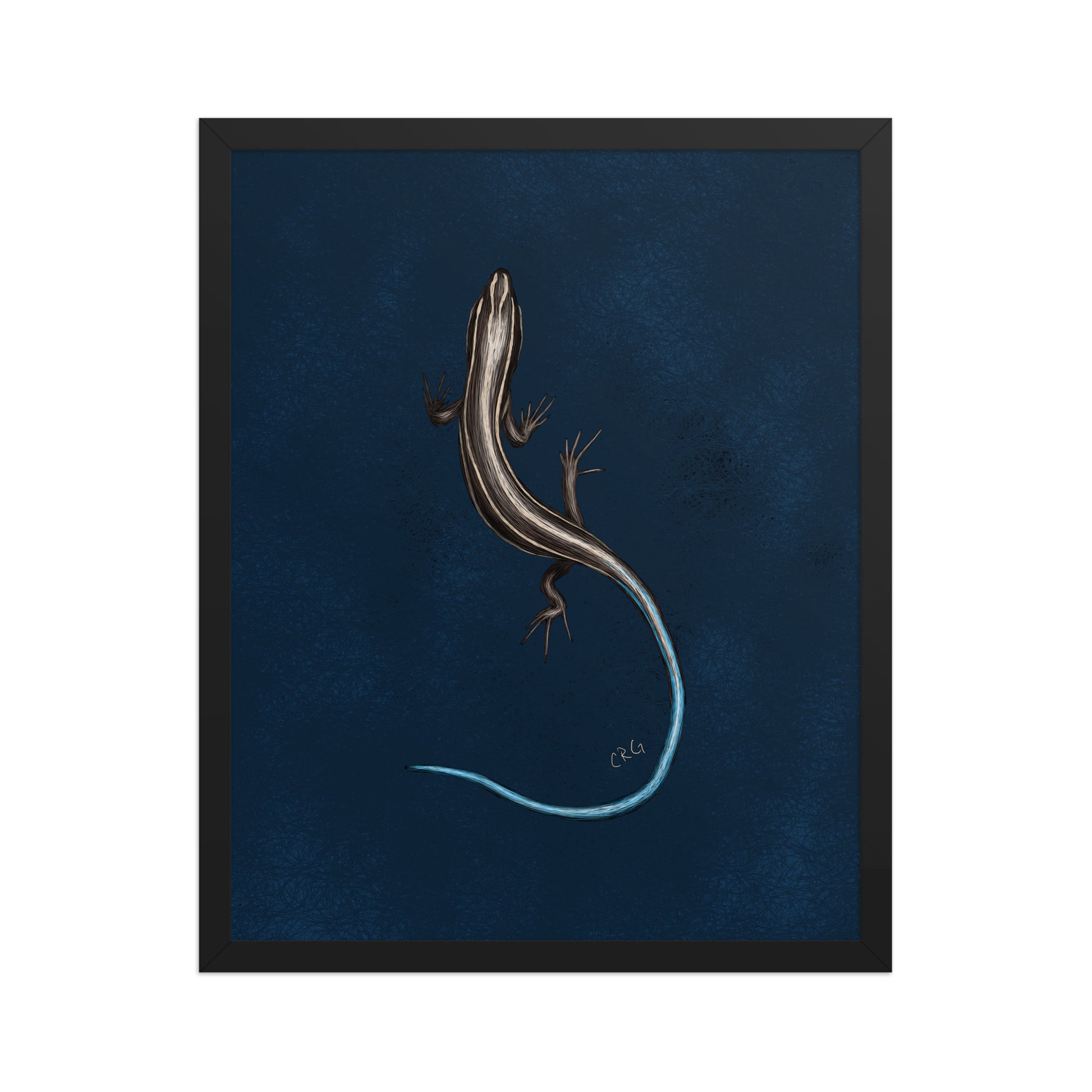 Skink Art Print