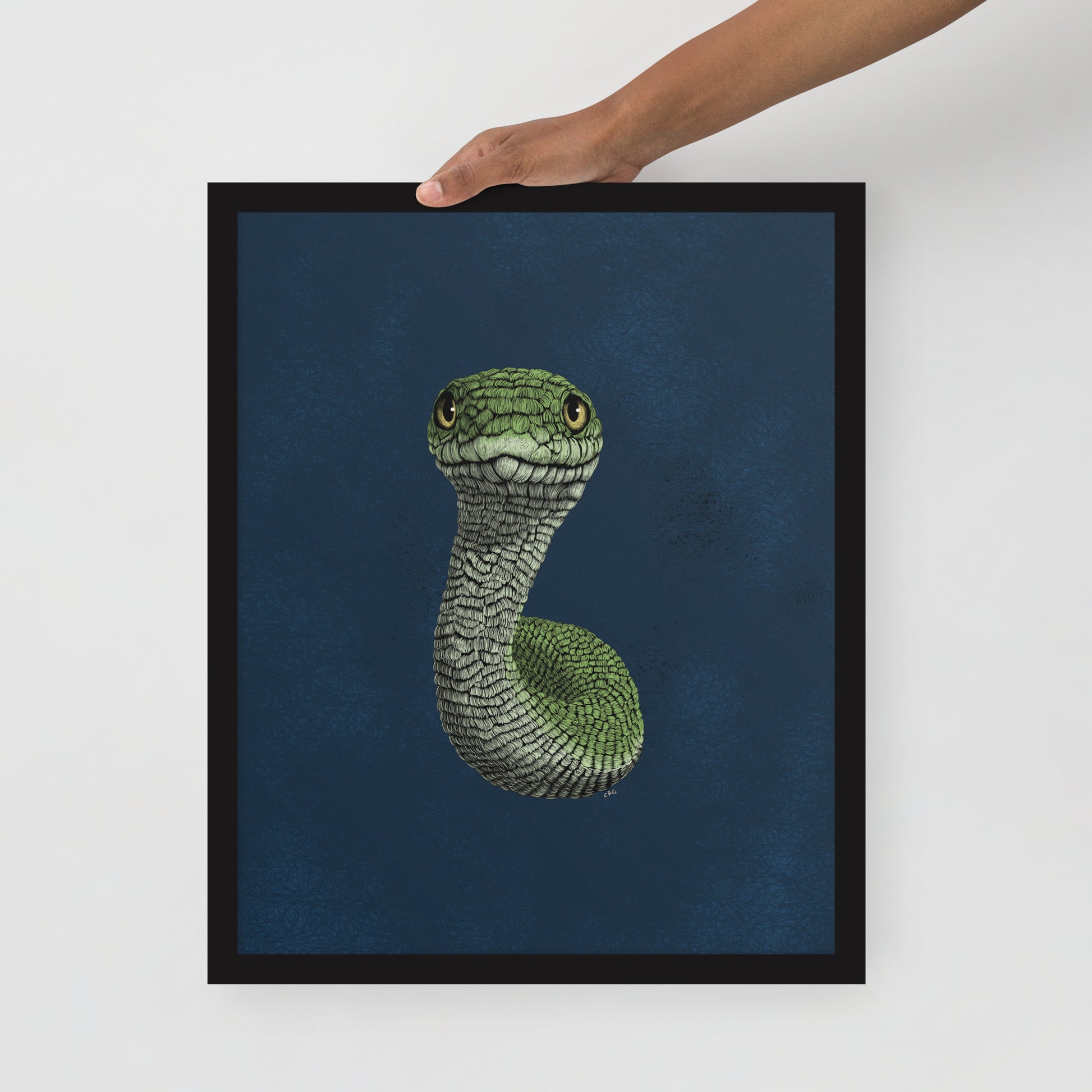 Smooth Green Snake Art Print